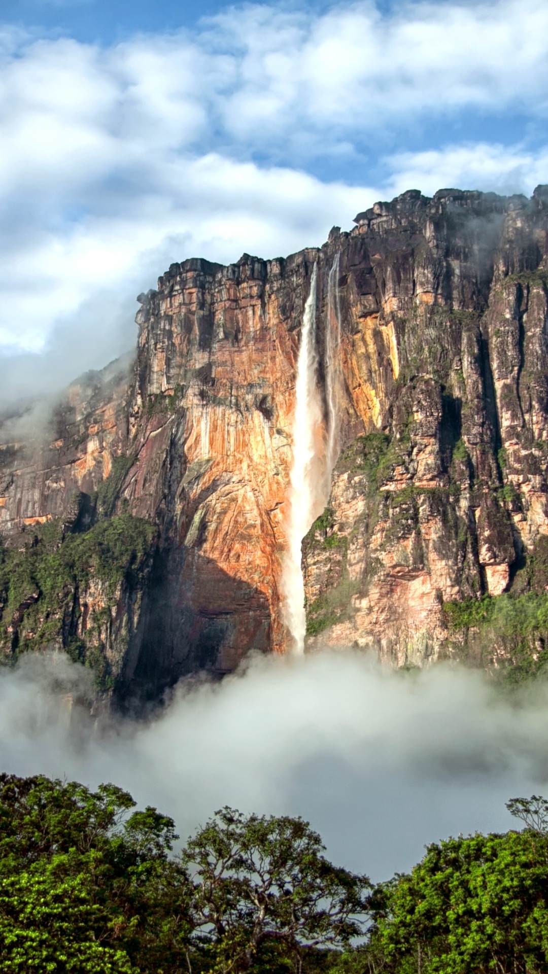 Venezuela, Earthangel Falls, Angel Falls wallpapers, 1080x1920 Full HD Handy