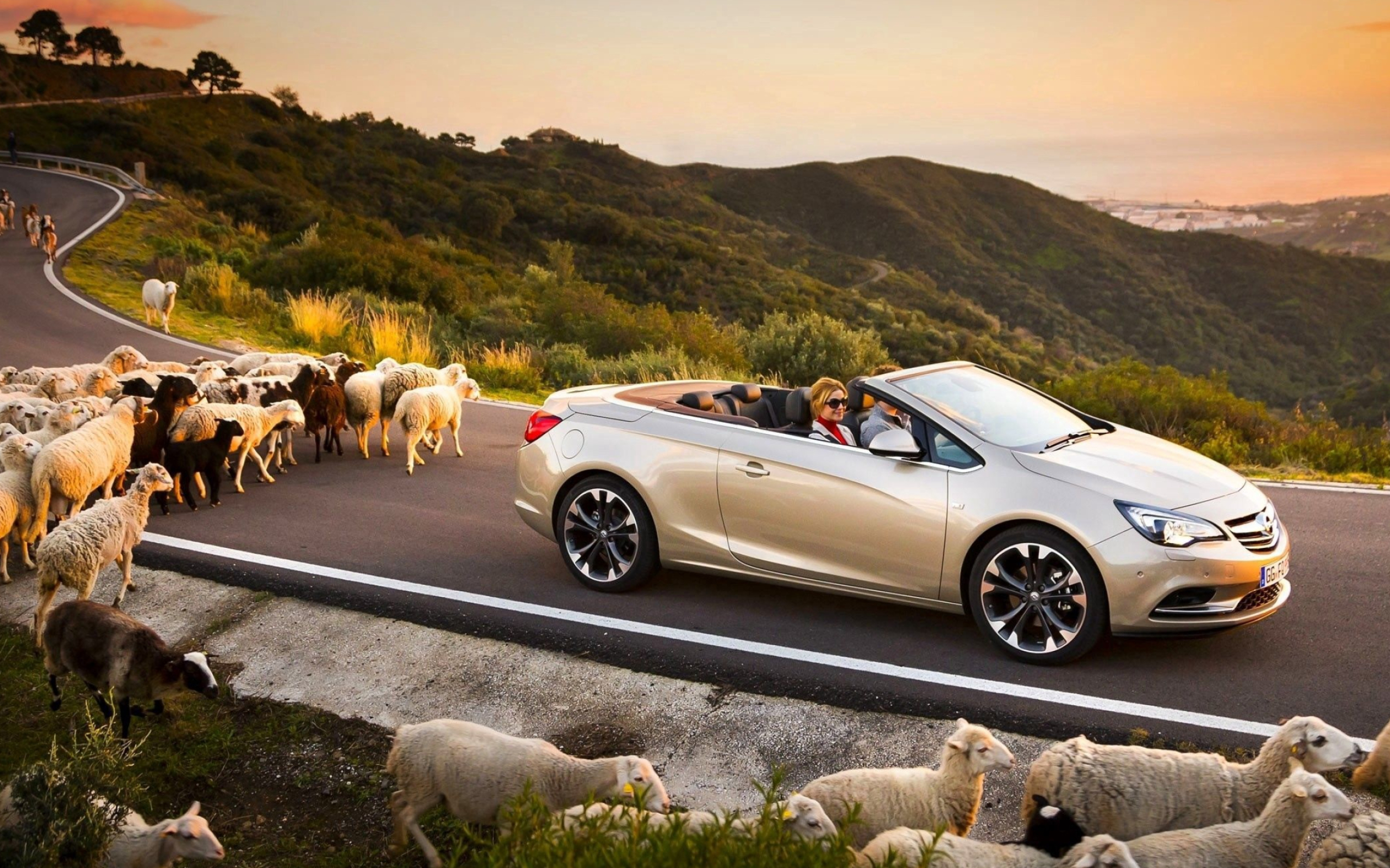 Opel Cascada, Sleek convertible, Sporty elegance, Open-air freedom, 2560x1600 HD Desktop