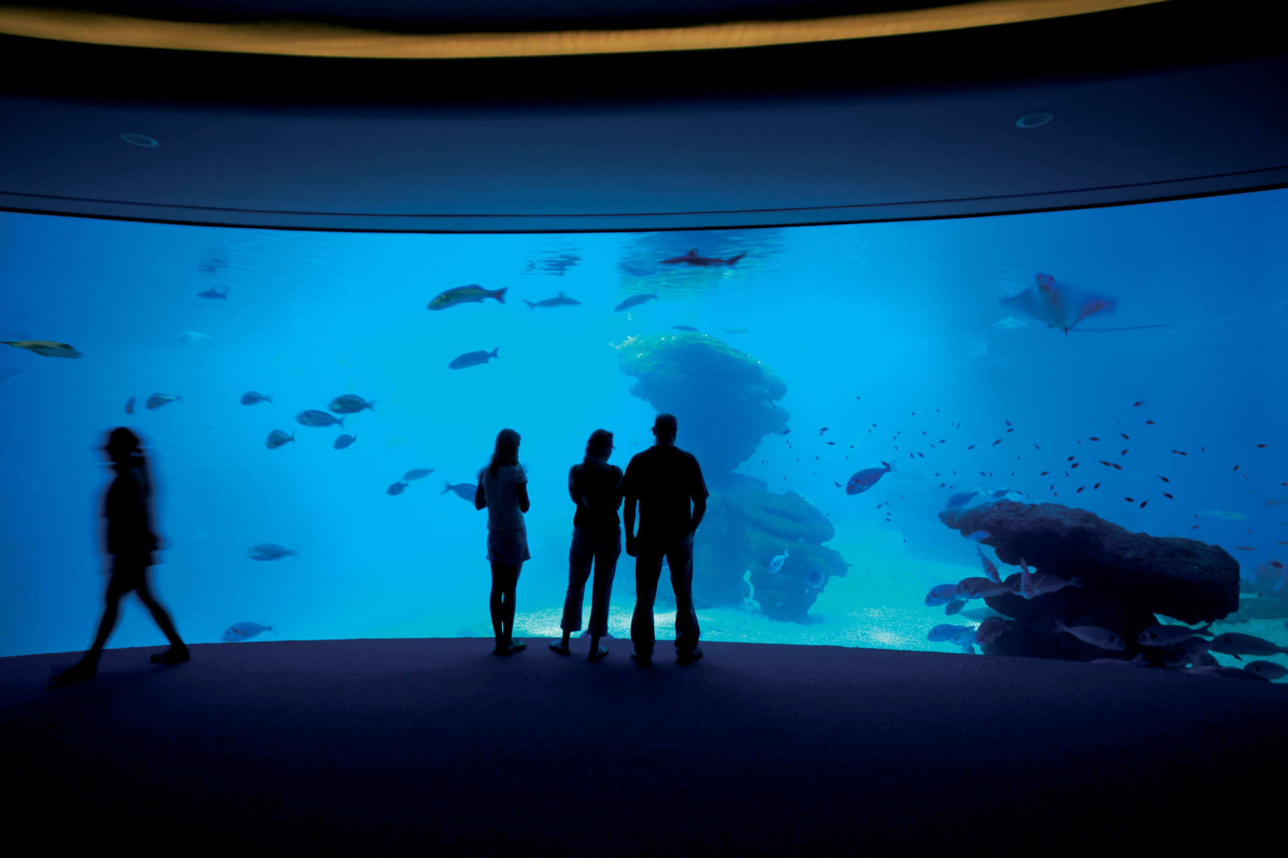Palma Aquarium full day - Tour2b 2560x1710