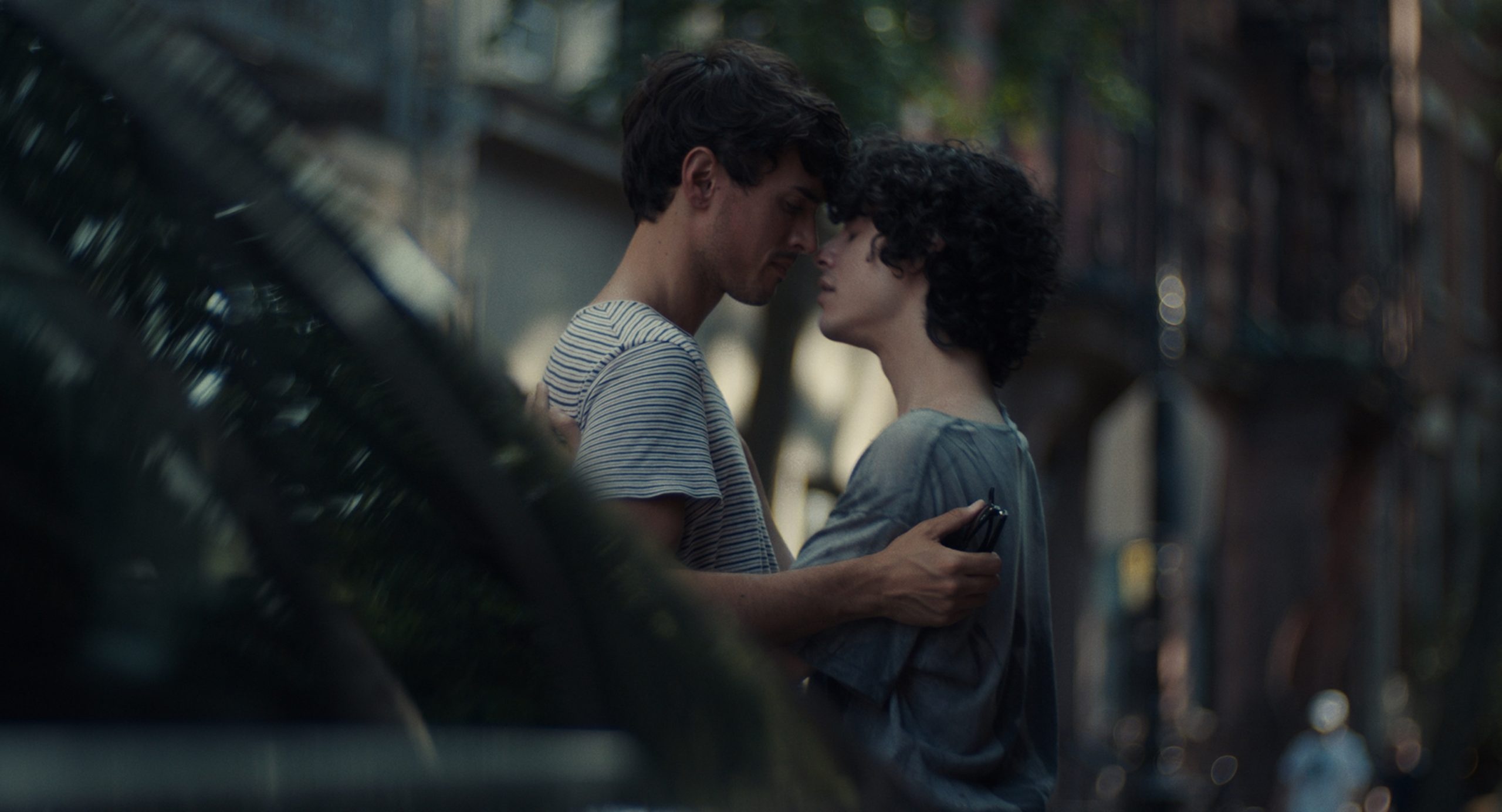 James Cusati-Moyer, Intimate queer romance, Personal identity, Q+, 2560x1390 HD Desktop