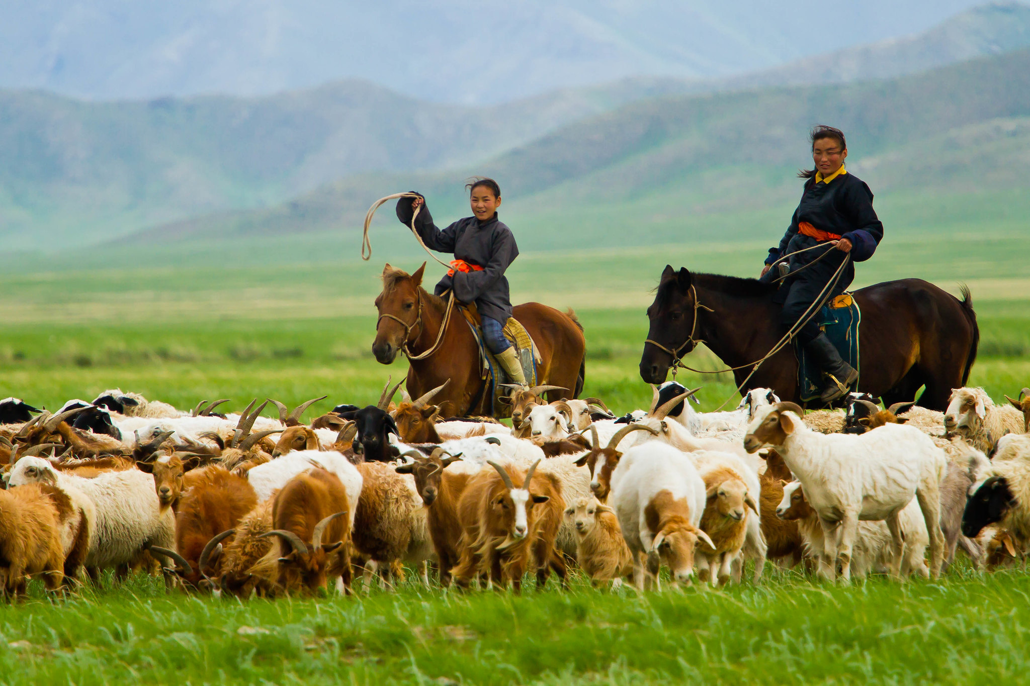 Mongolia, Migrant herders, Poverty challenges, Socioeconomic issues, 2050x1370 HD Desktop