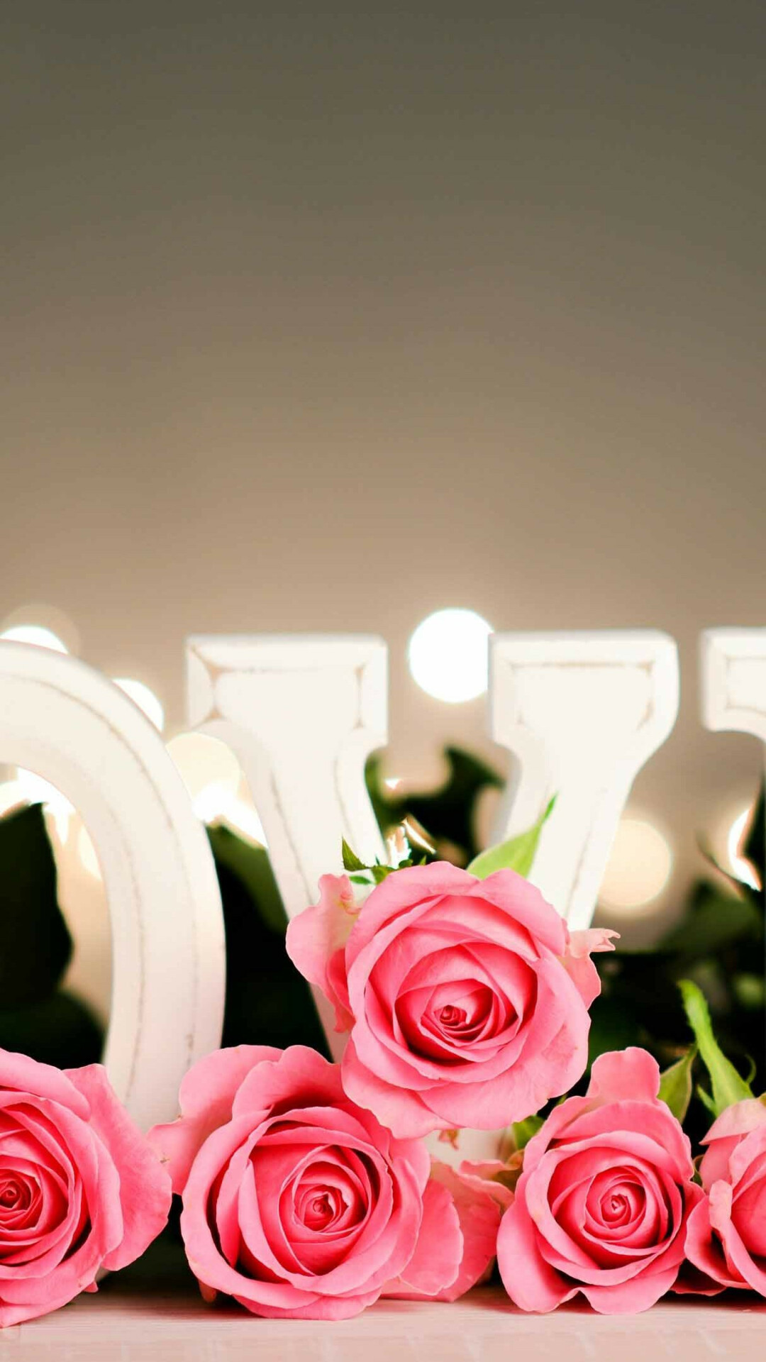 Rose: The flowers of wild roses usually have five petals, whereas the flowers of cultivated roses are often double. 1080x1920 Full HD Background.