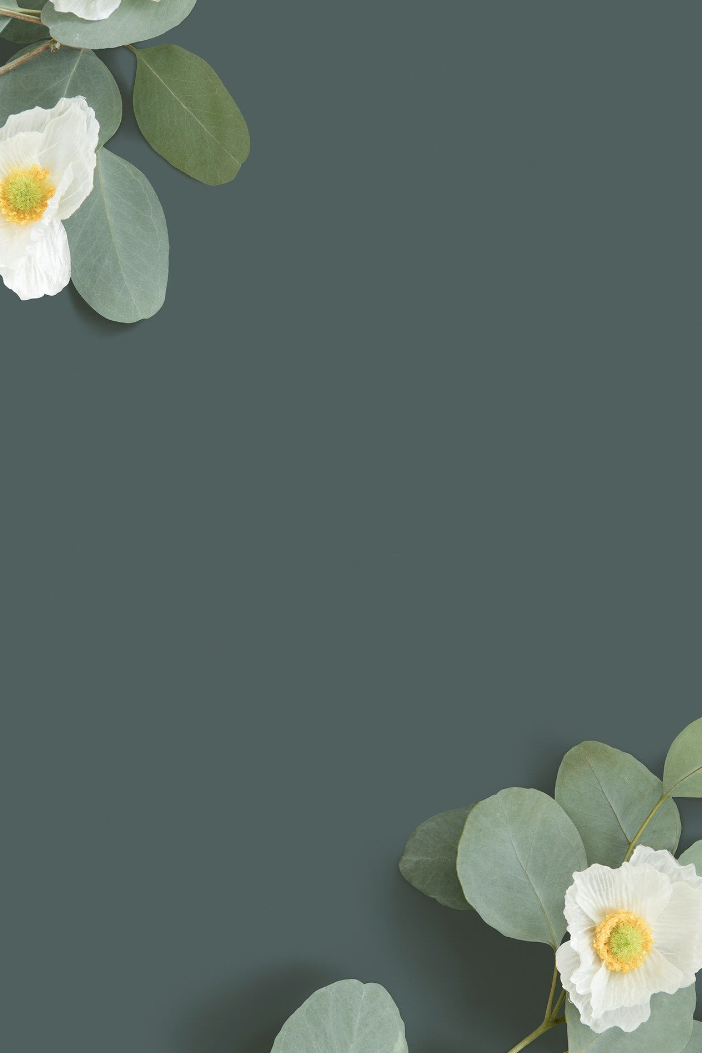 White Poppy, Eucalyptus leaves background, Premium PSD, Flower background, 1400x2100 HD Handy