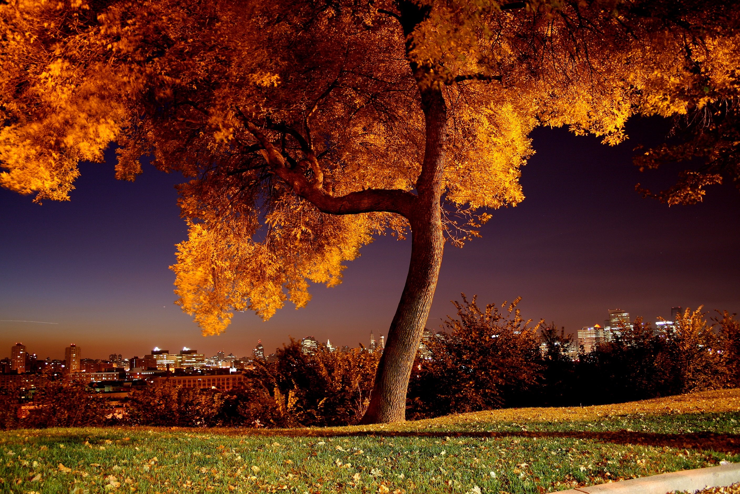 Sunlit landscape, City lights, Tranquil park, Beautiful autumn, 2820x1880 HD Desktop