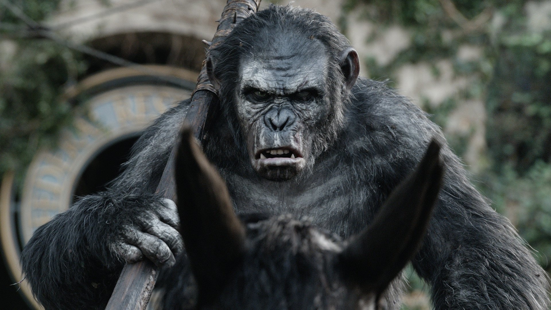 Planet of the Apes, 1920x1080 wallpapers, HD background images, 1920x1080 Full HD Desktop