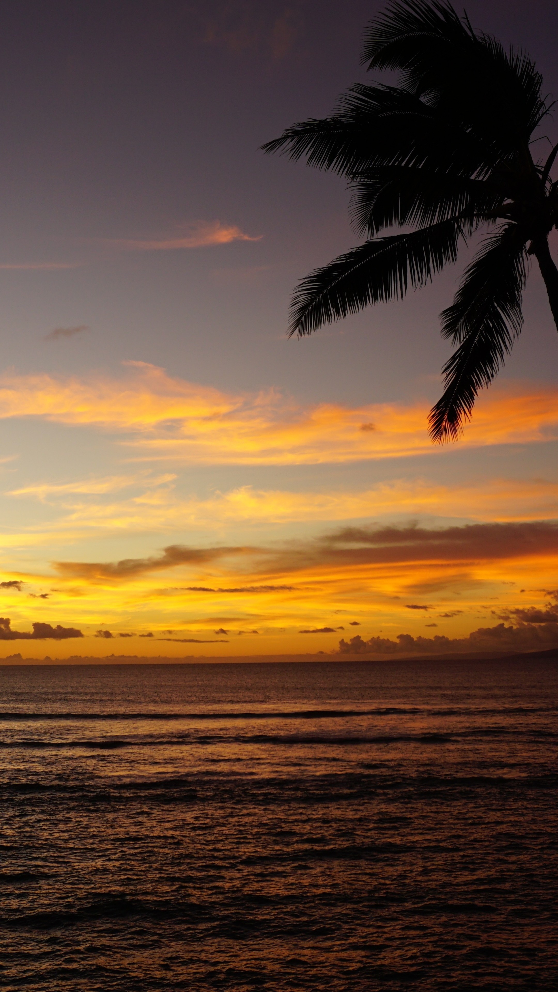 Hawaiian sunset, Maui beach views, Palm trees at sunset, Nature's beauty, 2160x3840 4K Phone