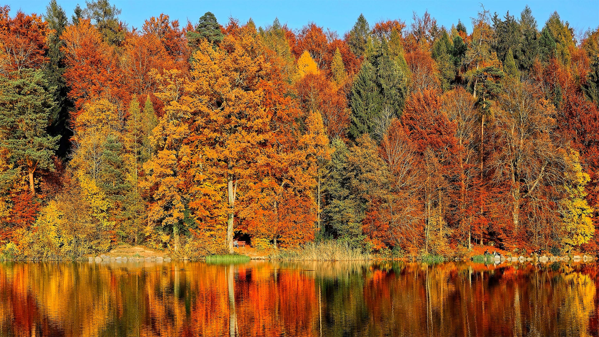 Climate's artistic touch, Evocative autumn, Cool breeze, Leafy metamorphosis, October nostalgia, 1920x1080 Full HD Desktop
