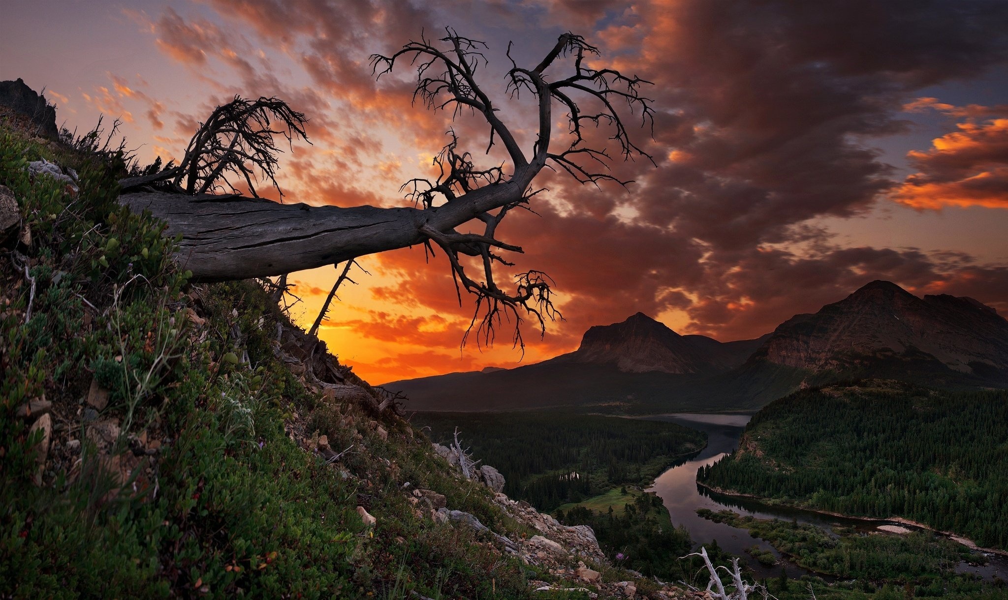 Sunset mountains, Tranquil trees, Majestic landscape, Glacier National Park, 2050x1220 HD Desktop