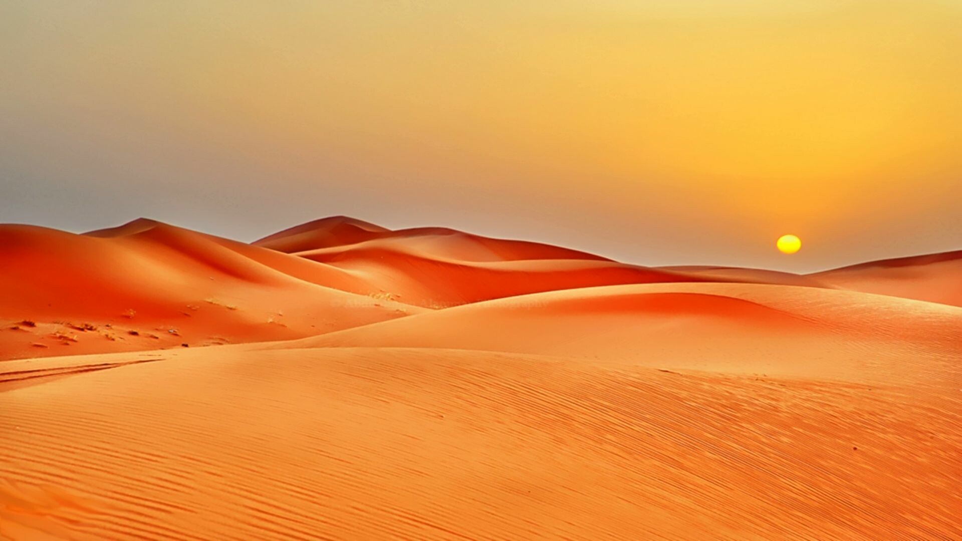 Desert: Many deserts were at one time the sites of shallow seas and others have had underlying hydrocarbon deposits transported to them by the movement of tectonic plates. 1920x1080 Full HD Background.