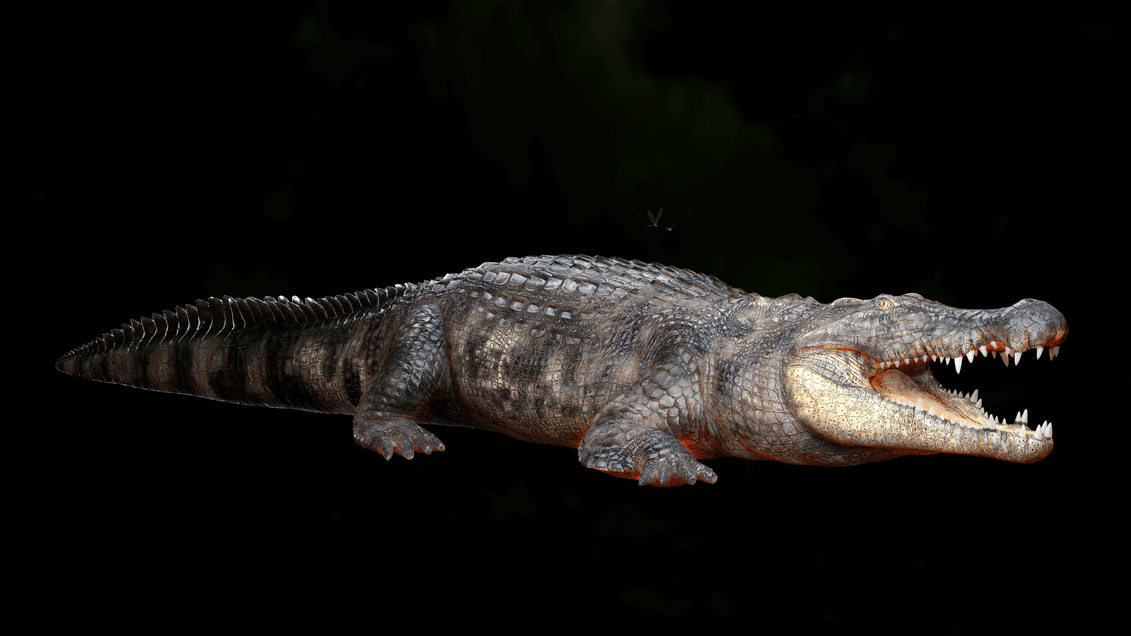 Alligator finished projects, 3D rendering, Blender artists community, 3D modeling, 3840x2160 4K Desktop