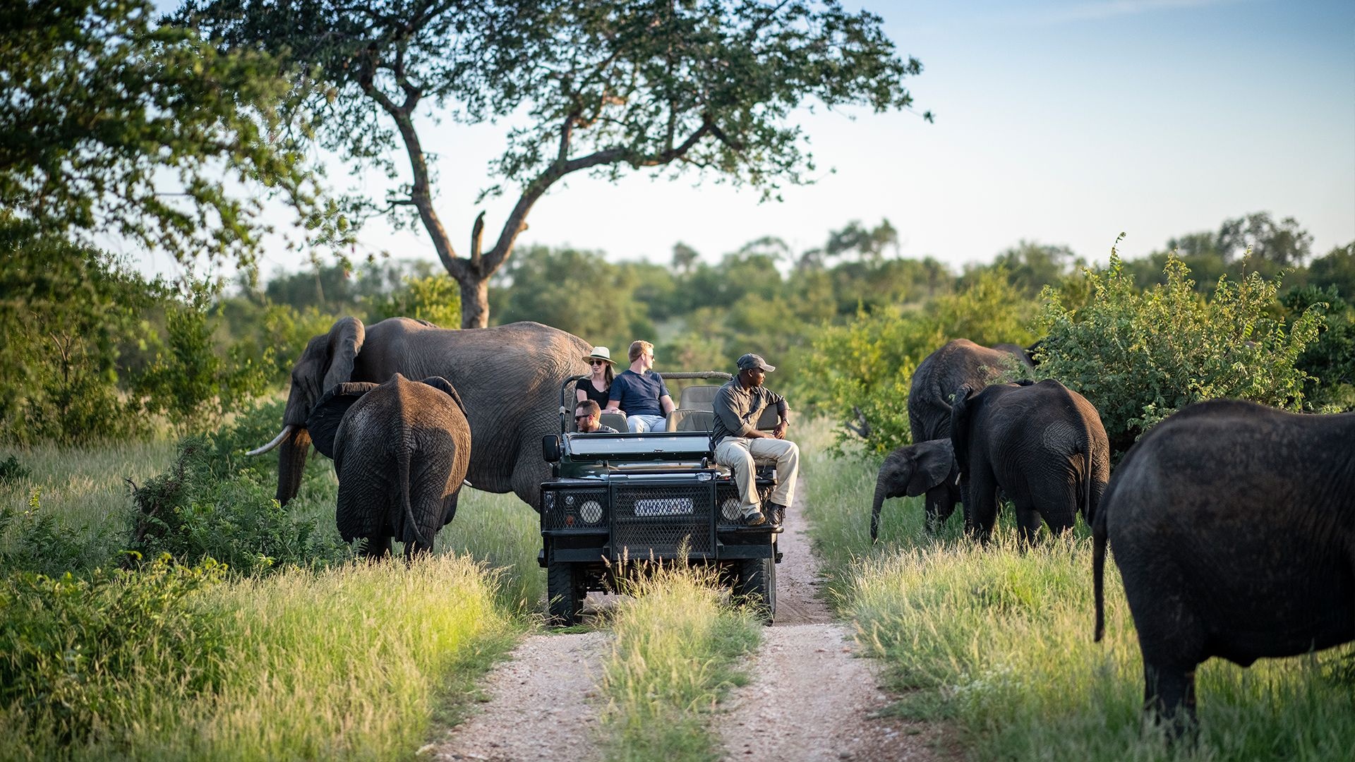 Kruger National Park, African safari, Thrilling wildlife encounters, Serene landscapes, 1920x1080 Full HD Desktop
