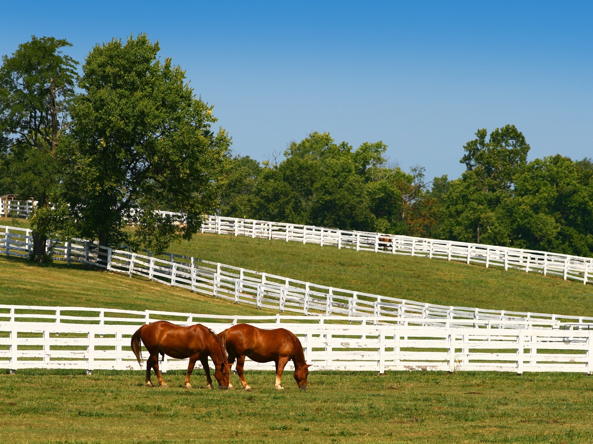 Kentucky Horse Park, Lexington itinerary, Cond Nast Traveler, 2050x1540 HD Desktop