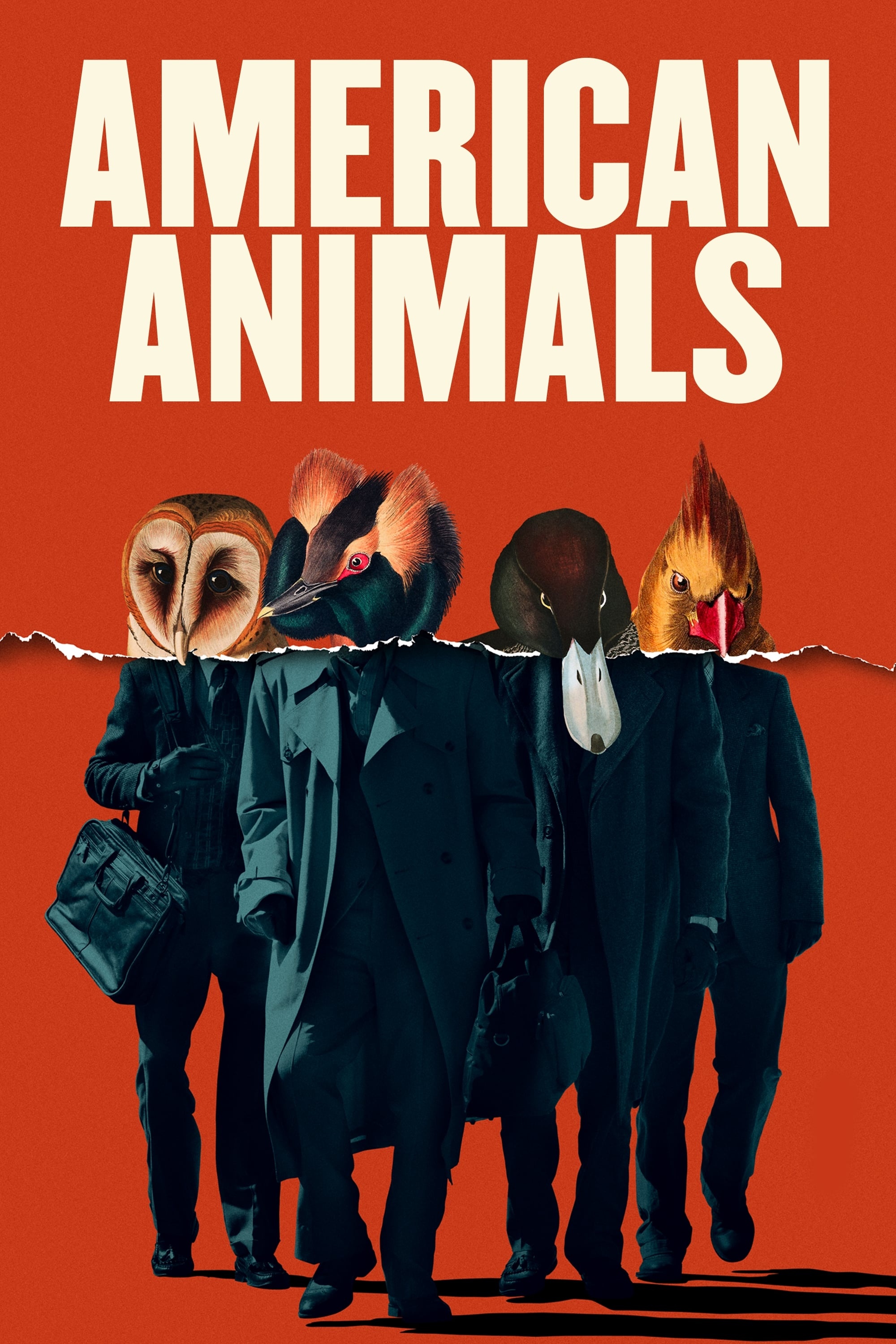 American Animals (Movie), True crime film, Audacious heist, Unpredictable twists, 2000x3000 HD Phone
