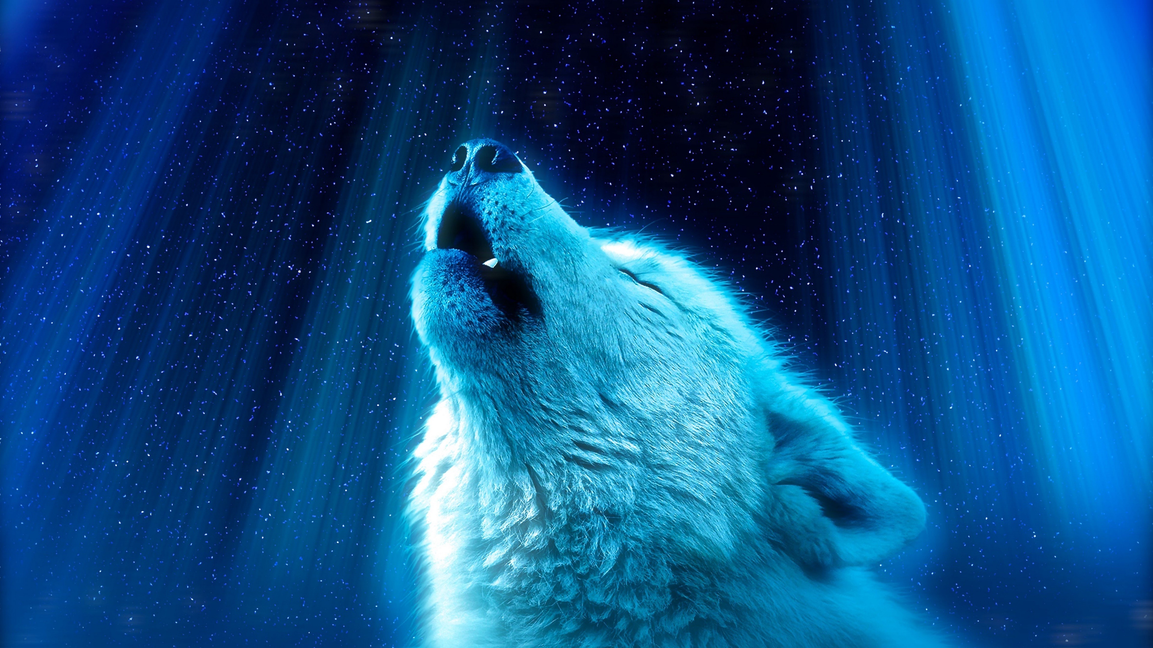 Wolf howling in the starlight wallpaper - backiee 3840x2160