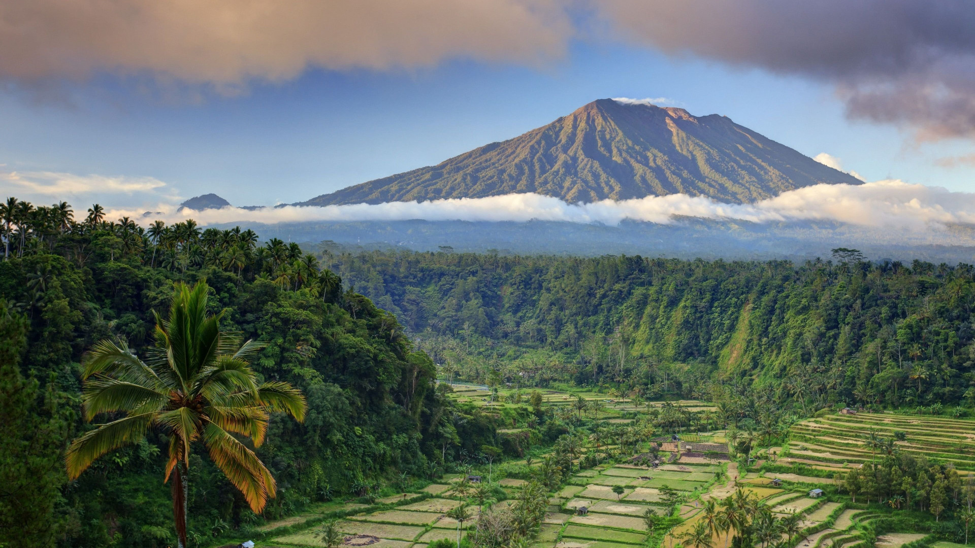 Ubud rice terraces, Bali desktop wallpaper, Tranquil landscapes, Natural wonders, 1920x1080 Full HD Desktop
