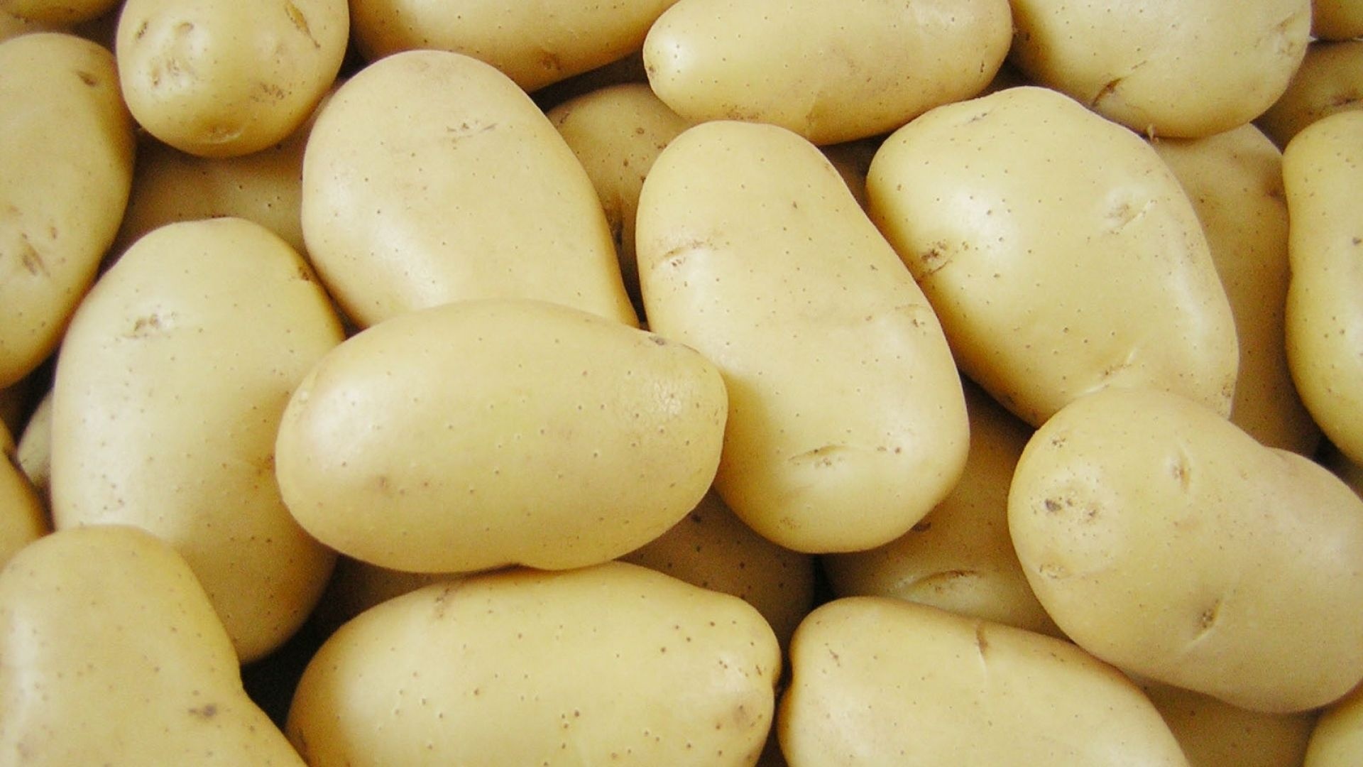 Potato wallpapers, High-quality images, Diverse options, Perfect for any device, 1920x1080 Full HD Desktop
