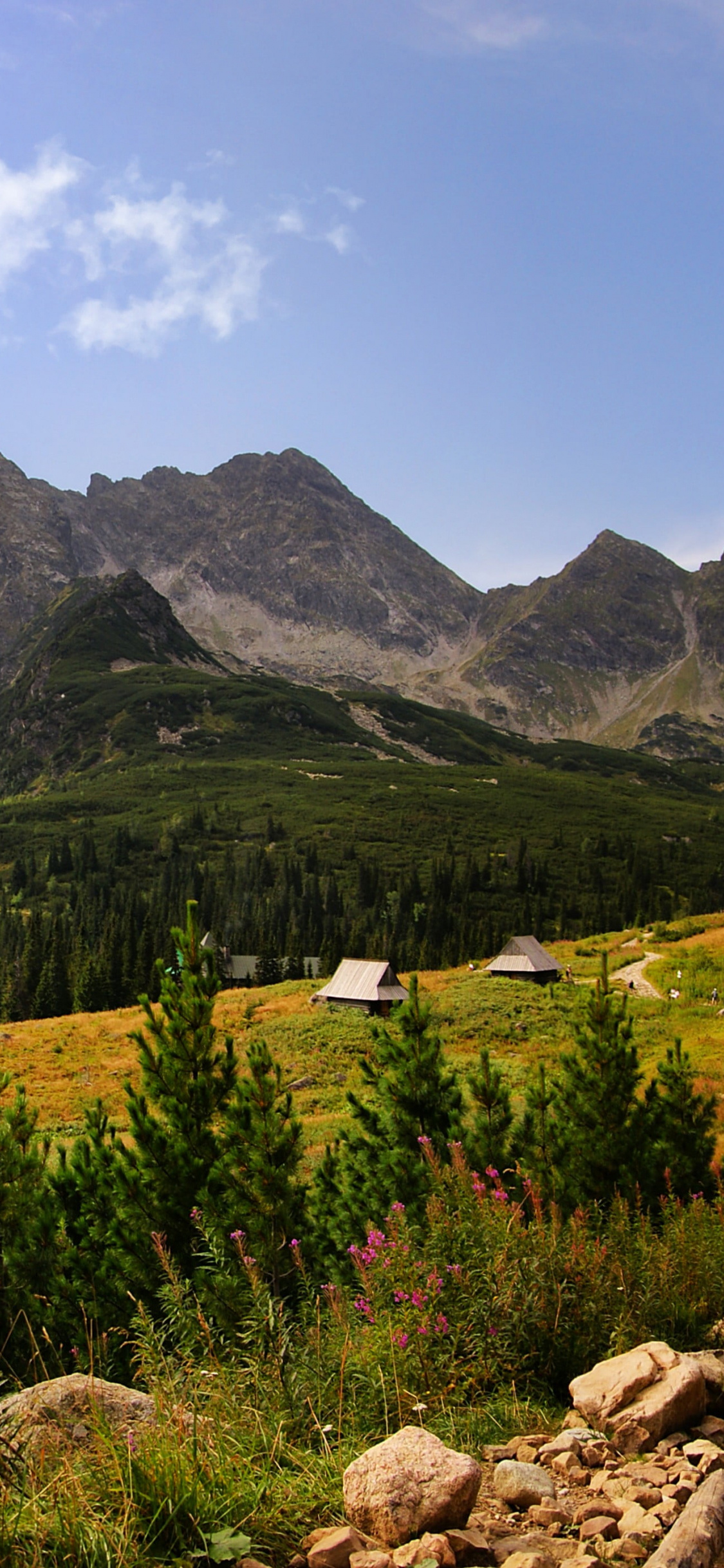 Poland travels, Tatra Mountains, Breathtaking views, Natural wonders, 1130x2440 HD Handy