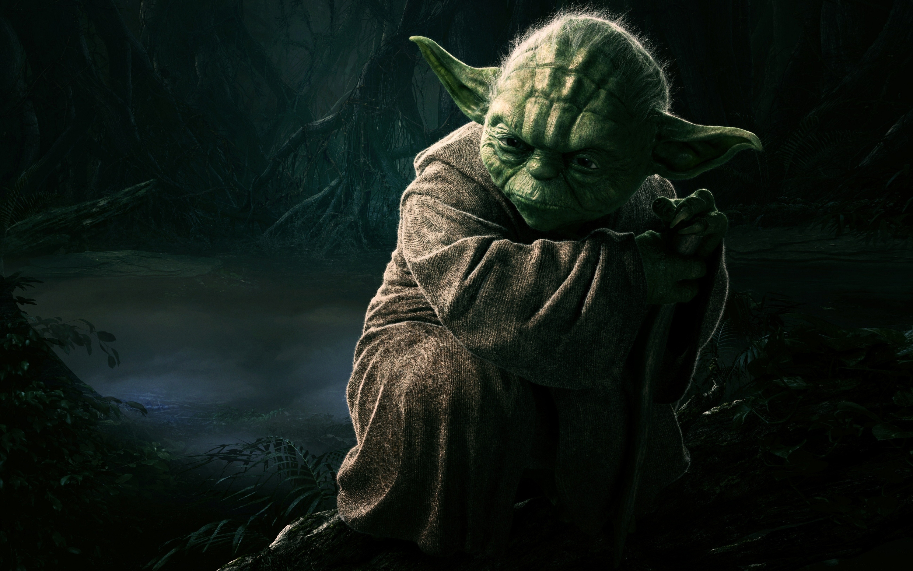 Jedi Master Yoda, Wallpaper HD, 3000x1880 HD Desktop