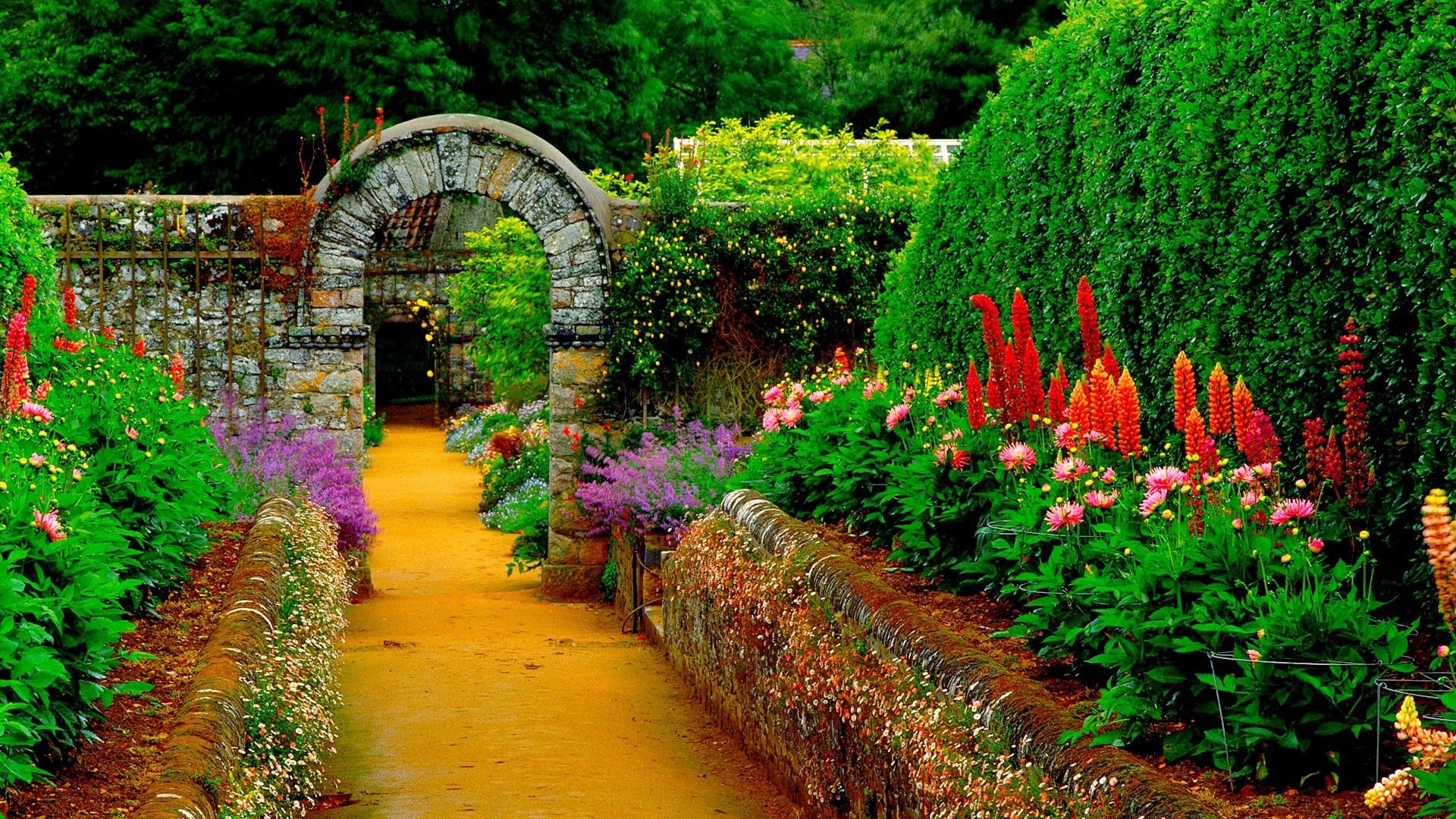 HD garden wallpaper, Gorgeous pictures, Beautiful gardens, Amazing scenes, 1920x1080 Full HD Desktop
