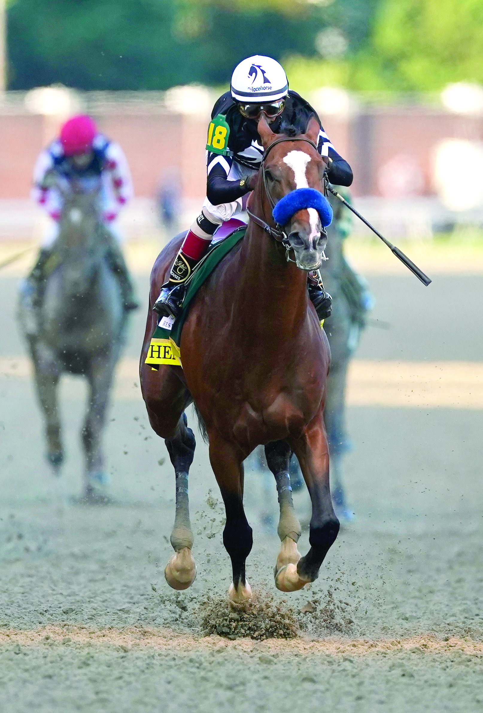 Authentic's victory, Kentucky Derby, 1620x2390 HD Handy