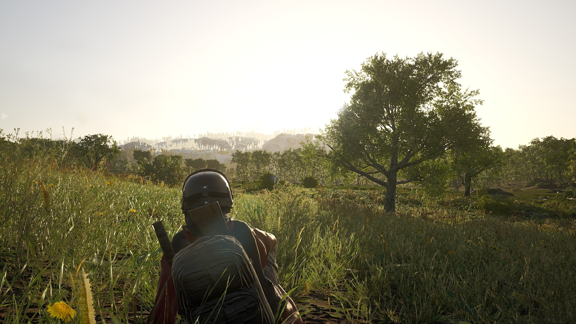 Good morning Vietnam, Scum game, Reference to the movie, 1920x1080 Full HD Desktop