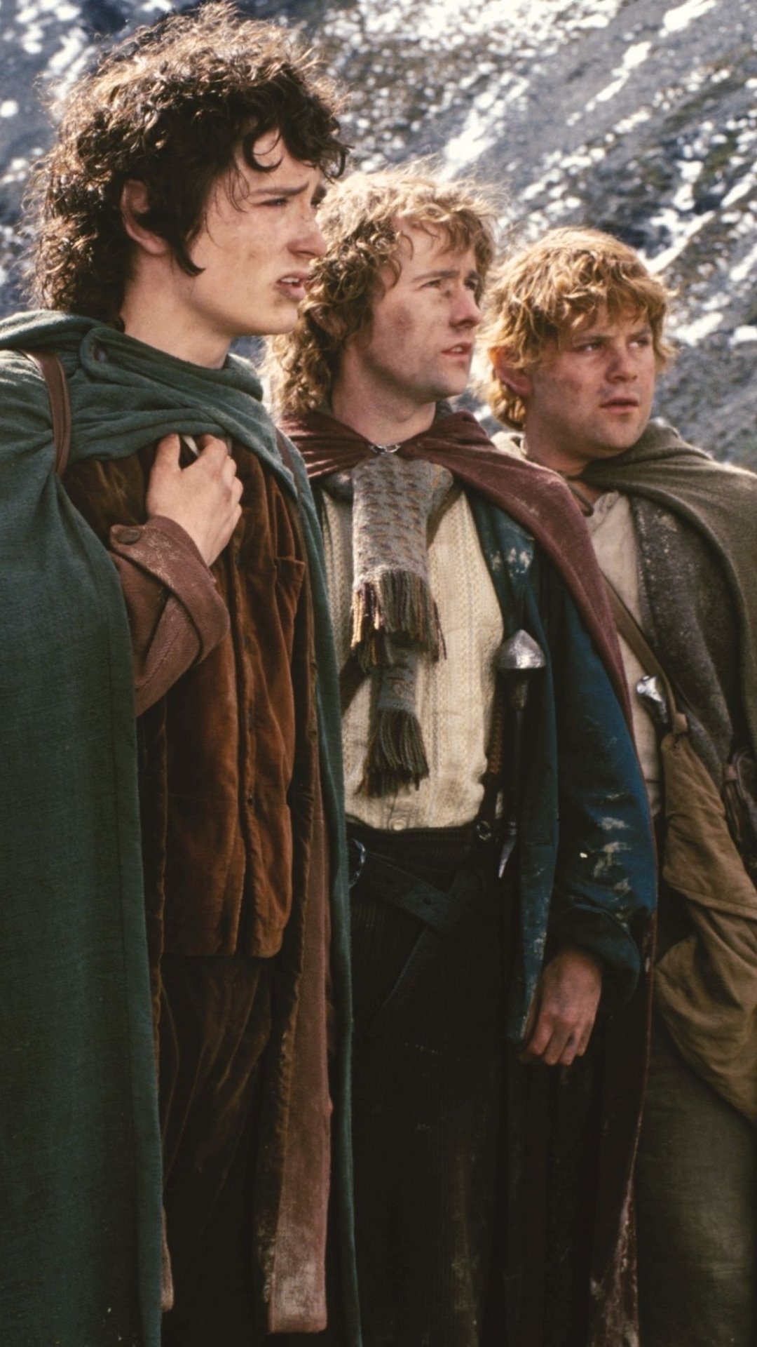 The Lord of the Rings, The Fellowship of the Ring, Cinematic masterpiece, Epic storytelling, 1080x1920 Full HD Phone