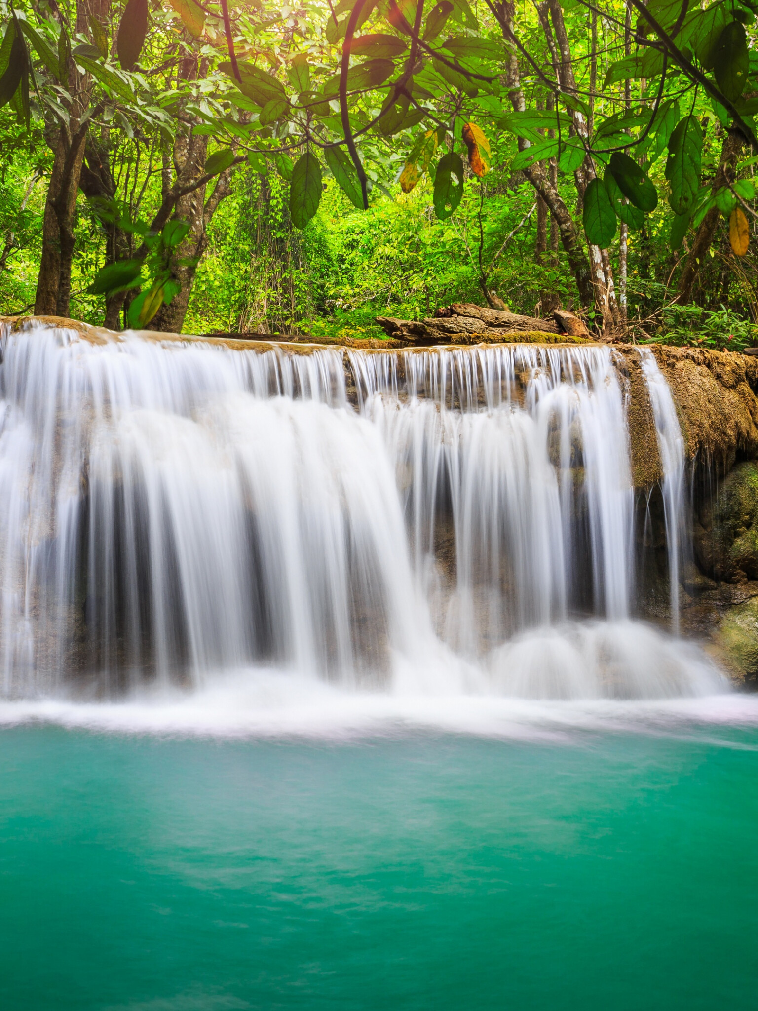 Waterfall: Rainforest, The fall of stream from the ledge that crosses the river channel. 1540x2050 HD Wallpaper.