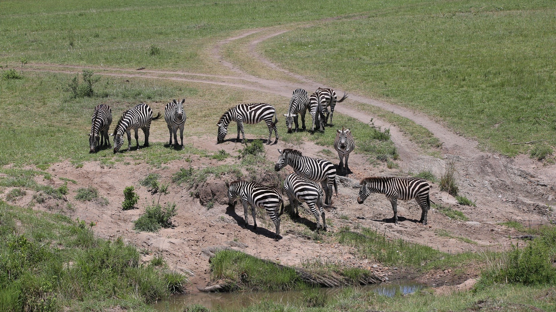 Kruger Adventures, Kenya safari, Unique destinations, Wildlife encounters, 1920x1080 Full HD Desktop