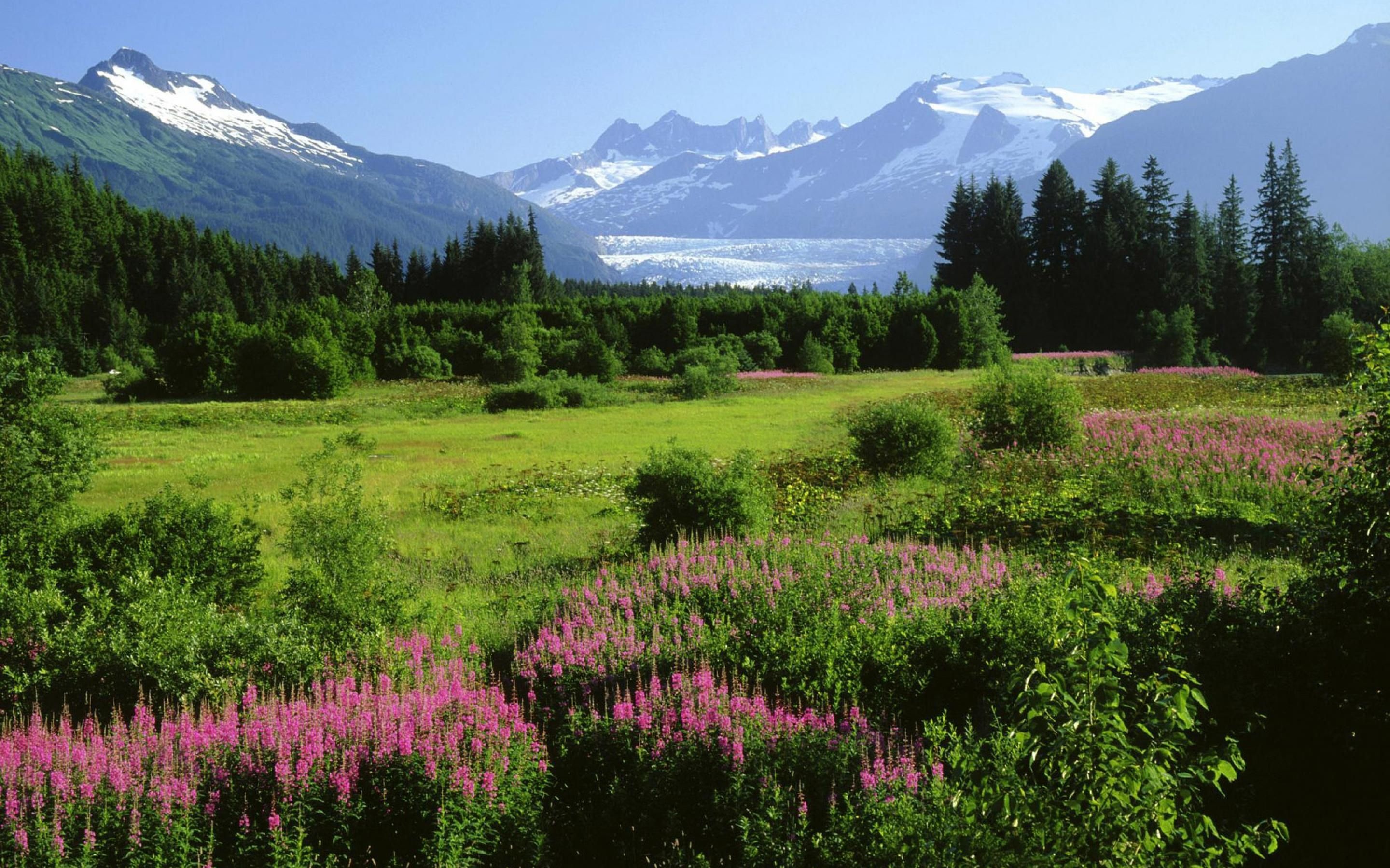 Alaska travels, Alaska nature, Nature background, Scenic beauty, 2880x1800 HD Desktop