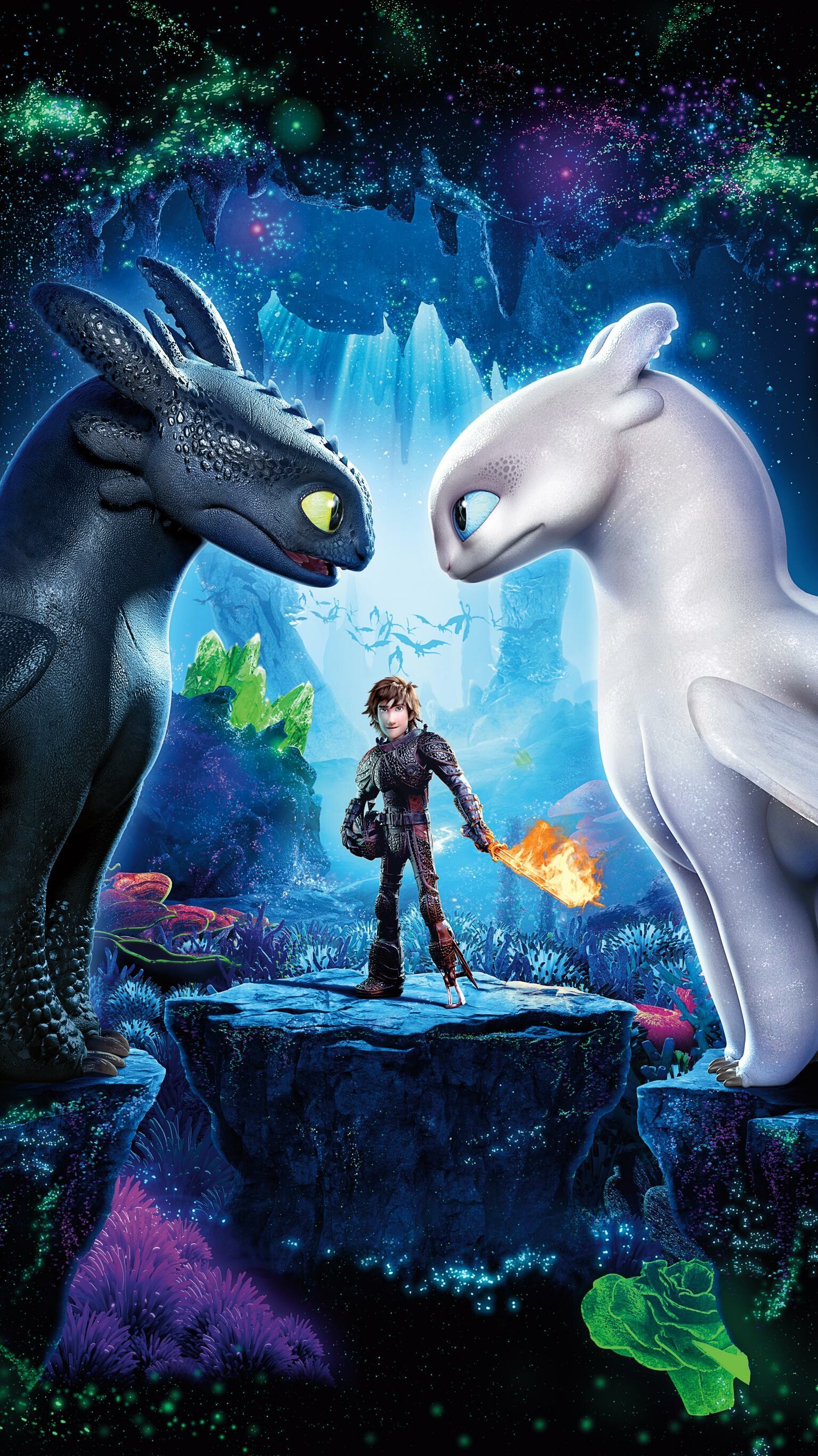 How to Train Your Dragon: A young Viking boy goes on adventures with Toothless, DreamWorks Animation. 1540x2740 HD Wallpaper.