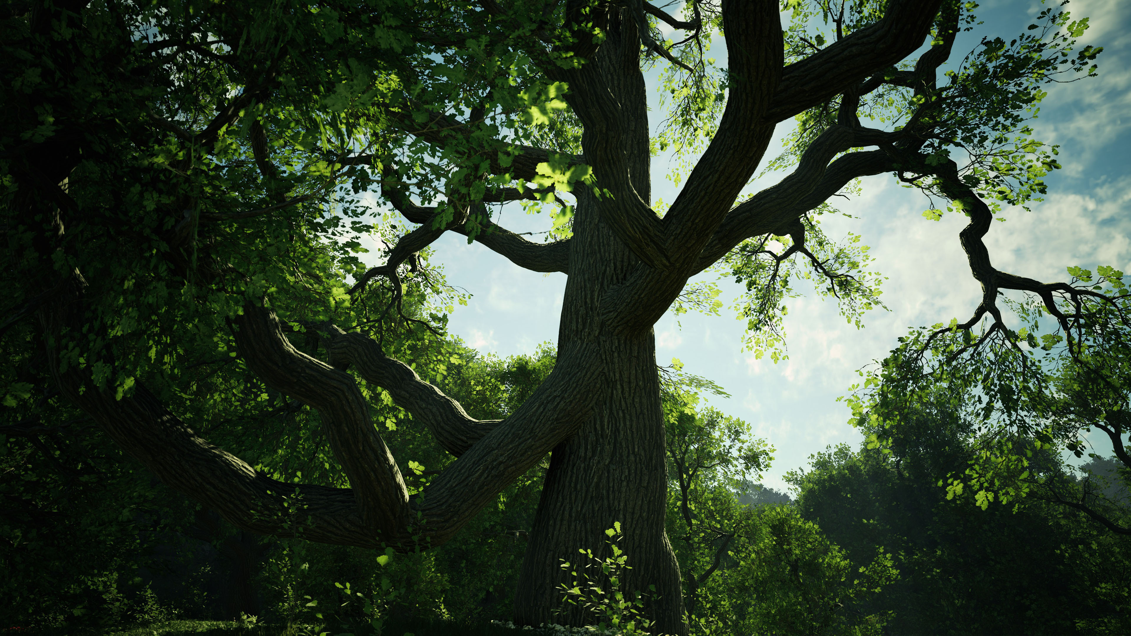 Unreal Engine 4 art, Wild oak trees, Artistic marvel, Captivating visuals, 3840x2160 4K Desktop