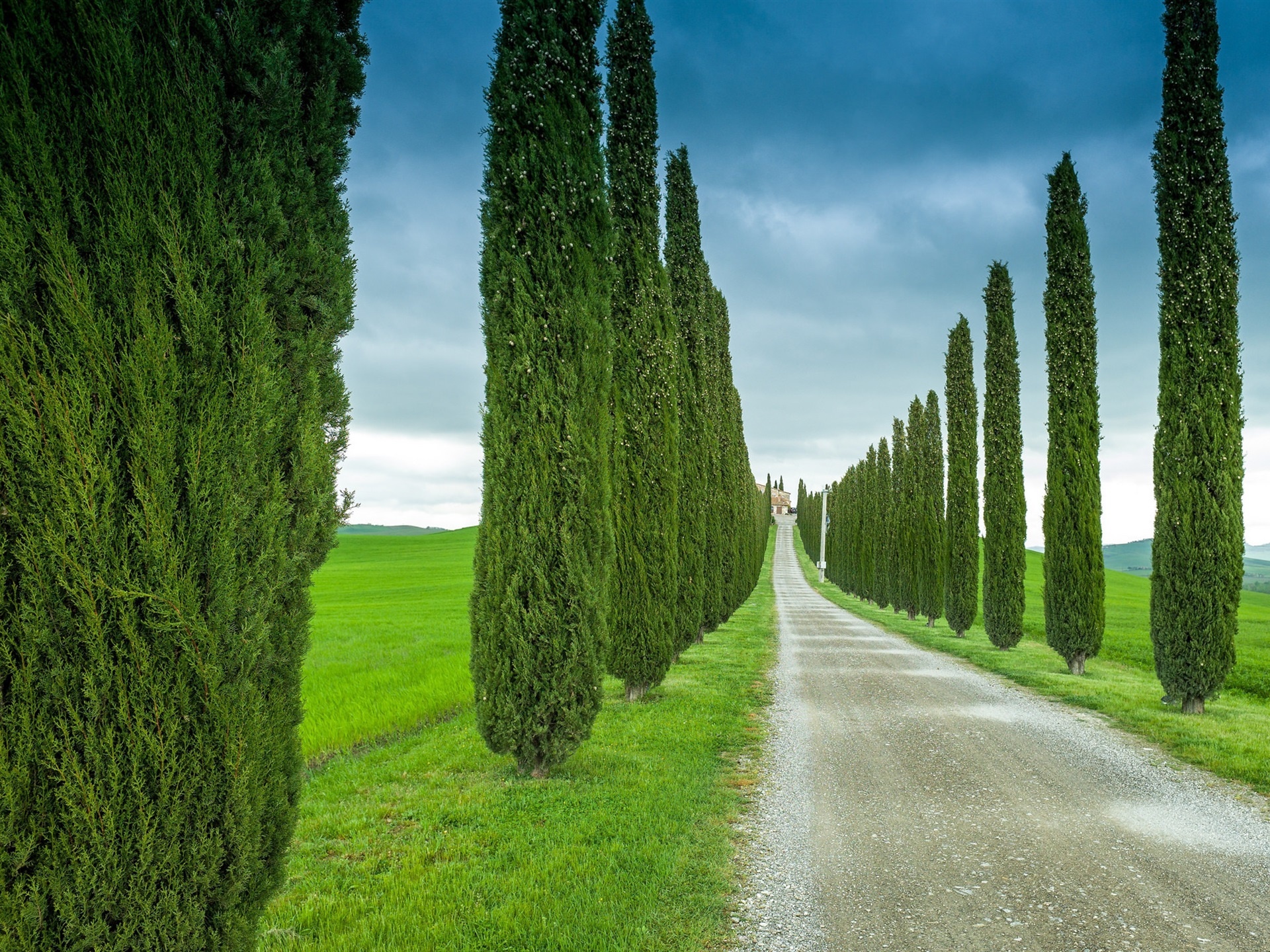 Tuscany, Italy, Road grass, Cypress, 1920x1440 HD Desktop