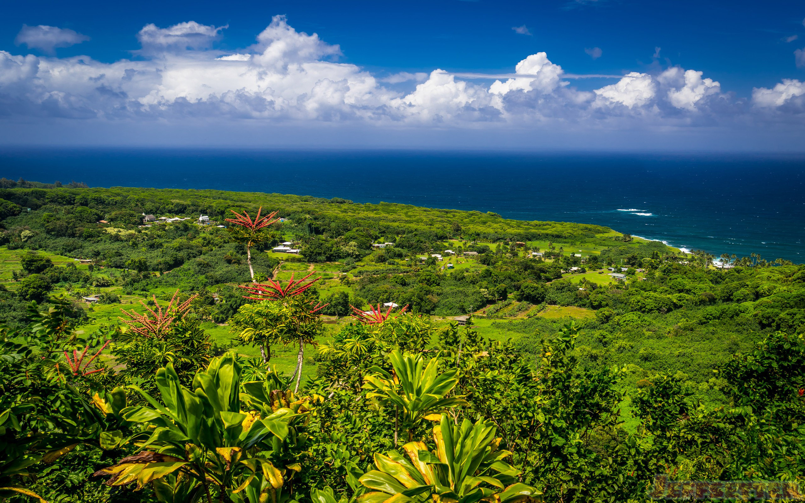 Hana Maui's beauty, Exotic landscapes, Tranquil beaches, Scenic wonders, 2560x1600 HD Desktop
