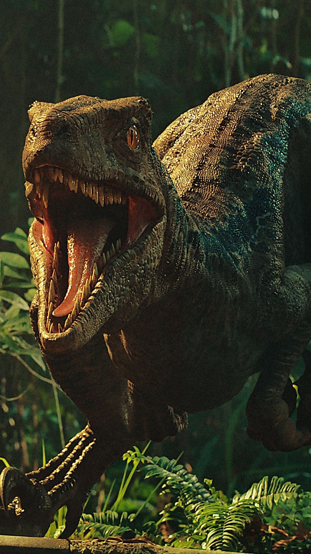 Jurassic World dinosaur, Blue velociraptor wallpaper, Movie franchise, Action adventure, 1080x1920 Full HD Phone