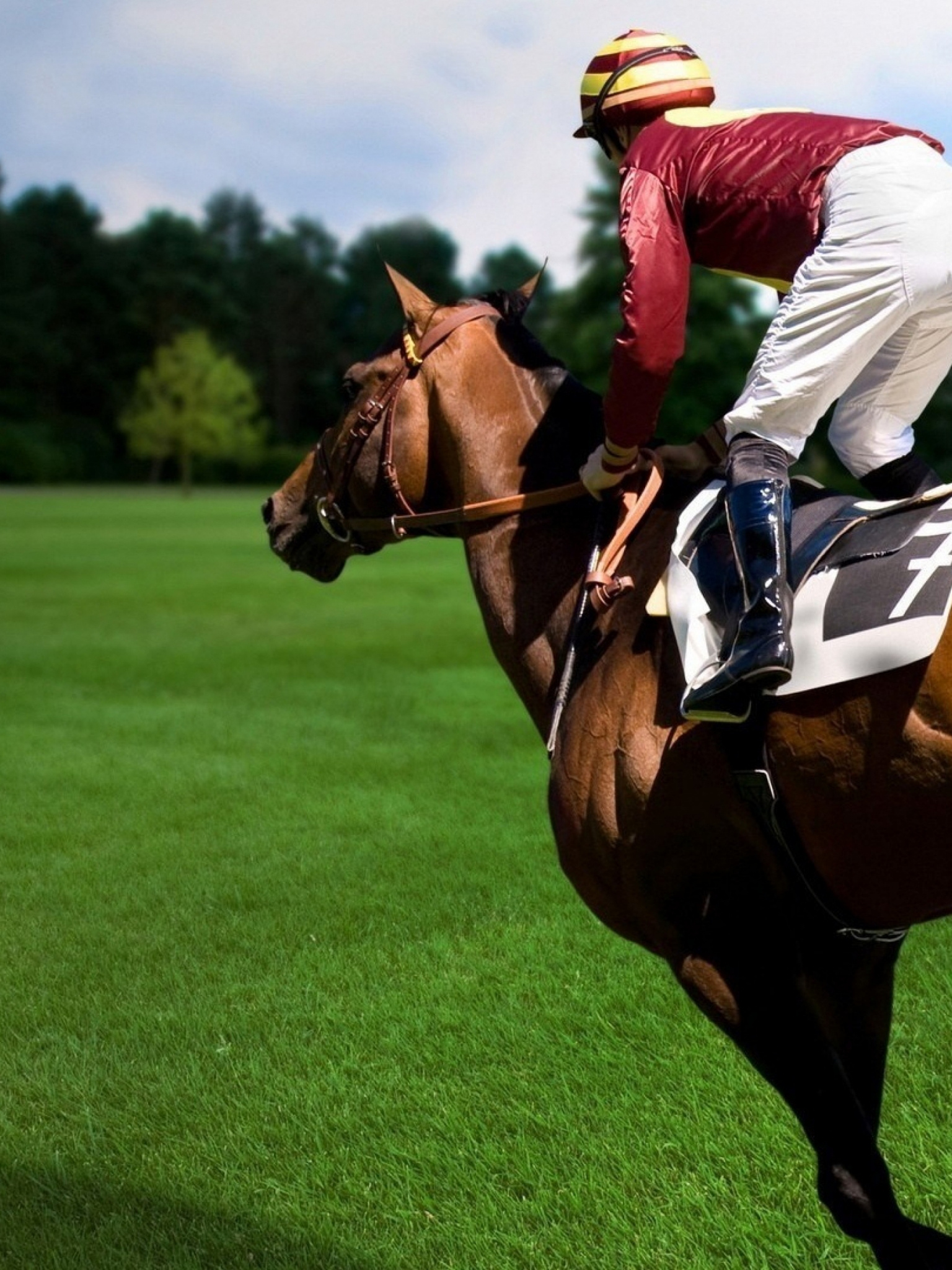 Horse Racing sport, Free download horse racing, Horse wallpapers, 1540x2050 HD Handy