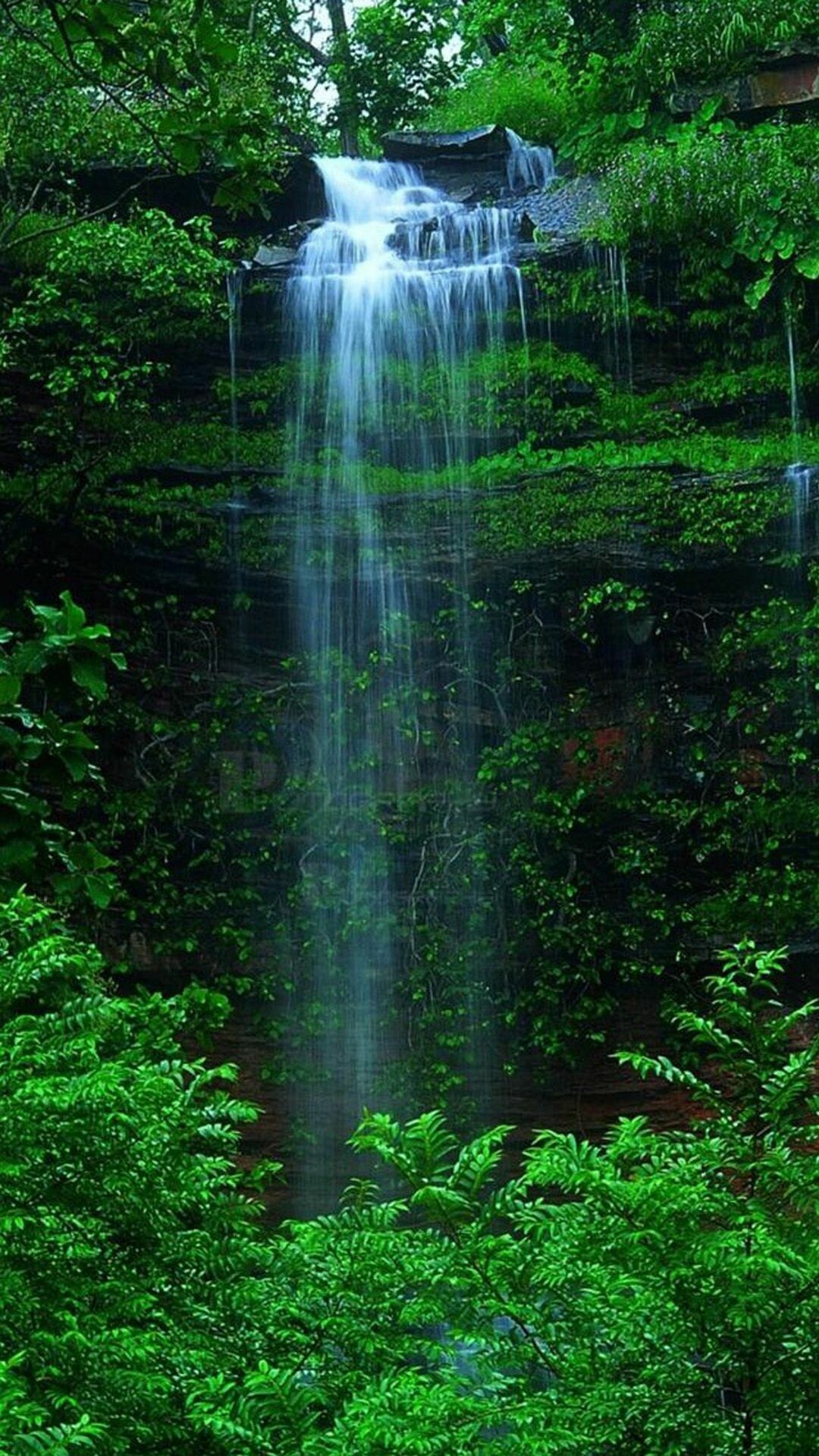 Waterfall: A point in a river where it flows over a vertical drop. 1080x1920 Full HD Background.