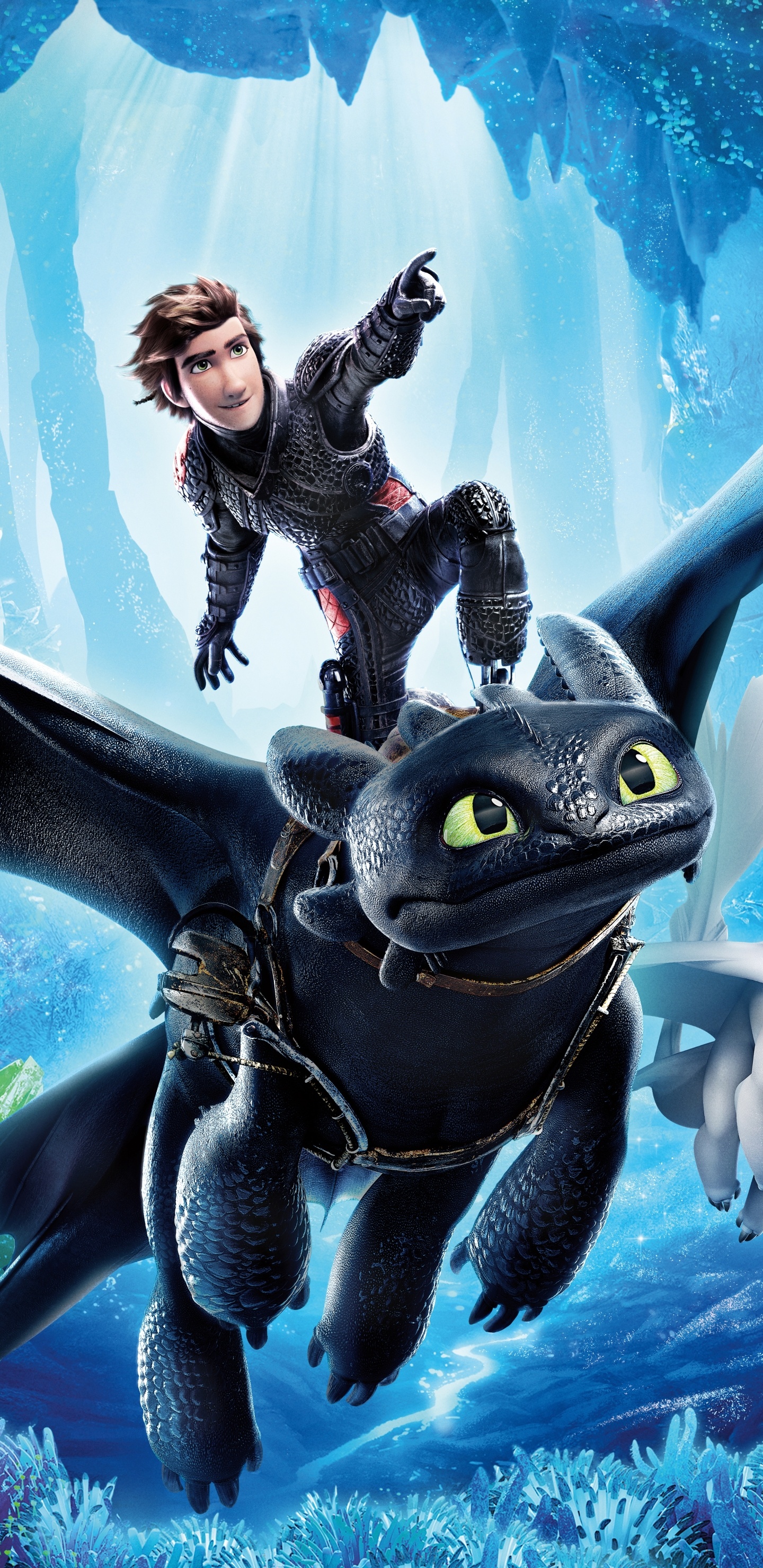 How to Train Your Dragon, Hidden world movie, Epic adventure, Action-packed, 1440x2960 HD Phone