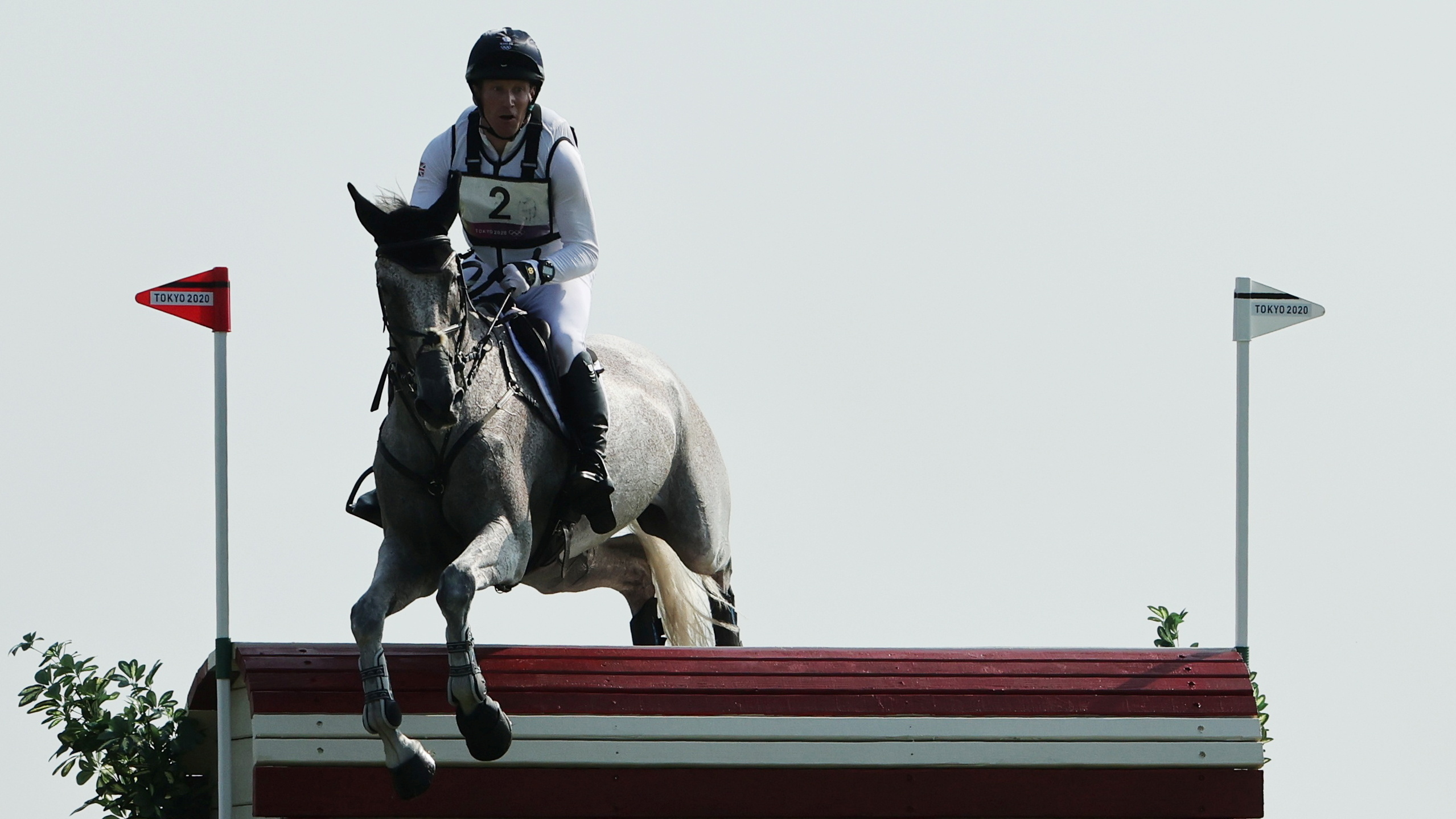 Equestrian Sports: Oliver Townend, A British eventing rider competing at the international three-day level. 2560x1440 HD Wallpaper.