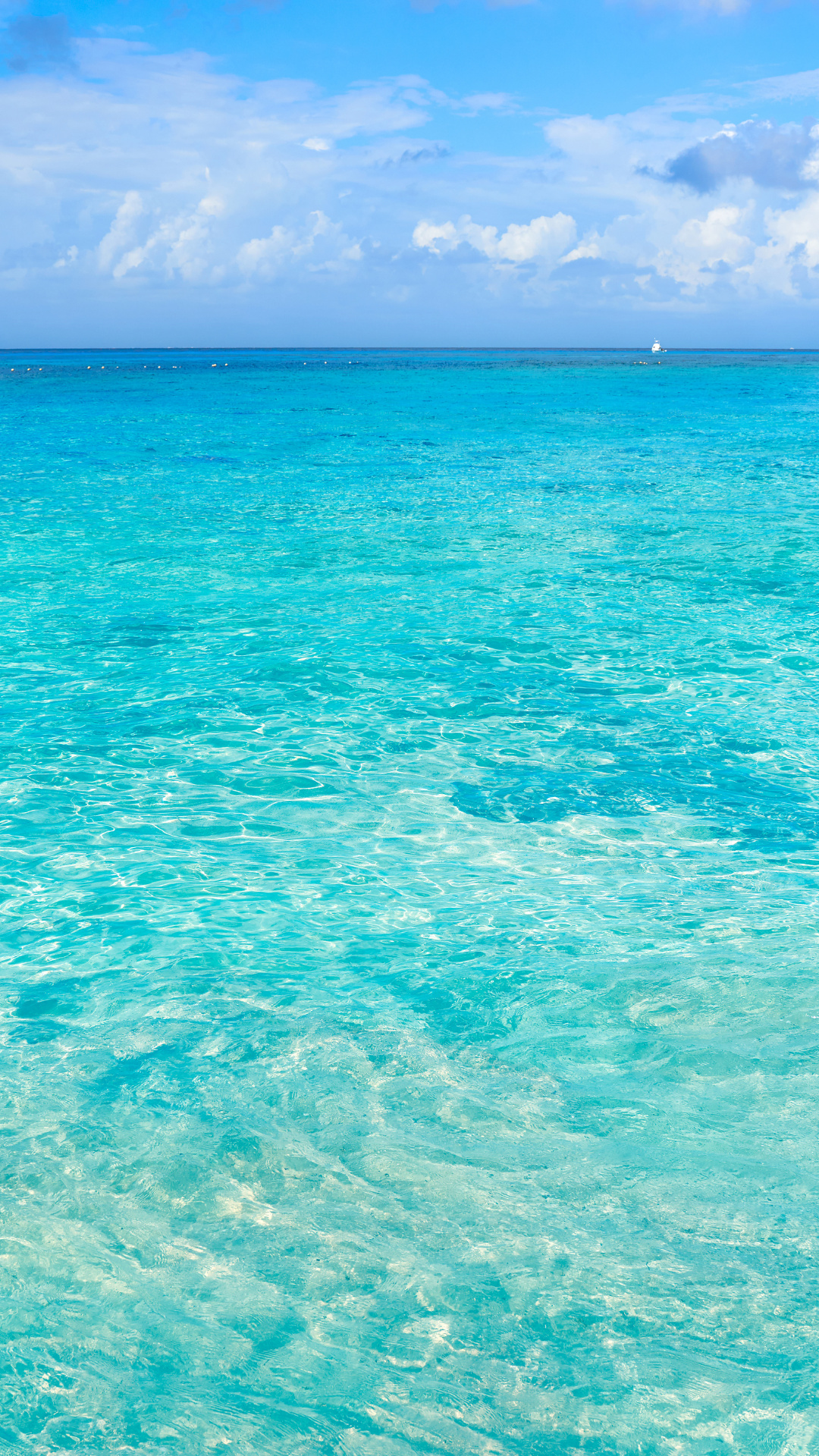 Cozumel: Snorkeling tour, Beautiful beaches, Paradise, Cozumel, 1080x1920 Full HD Handy