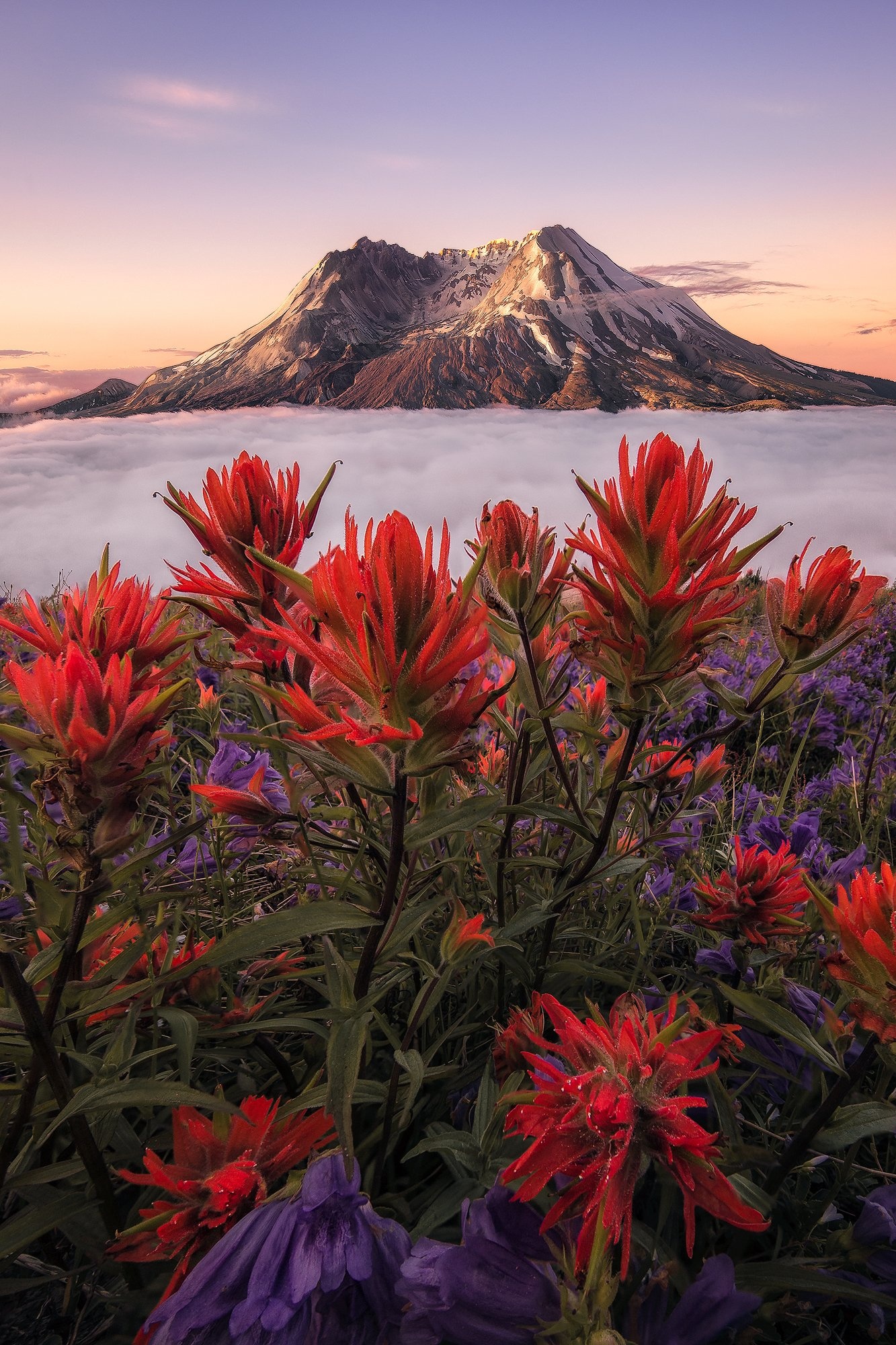 Mount St. Helens travels, majestic landscape images, 1340x2000 HD Phone