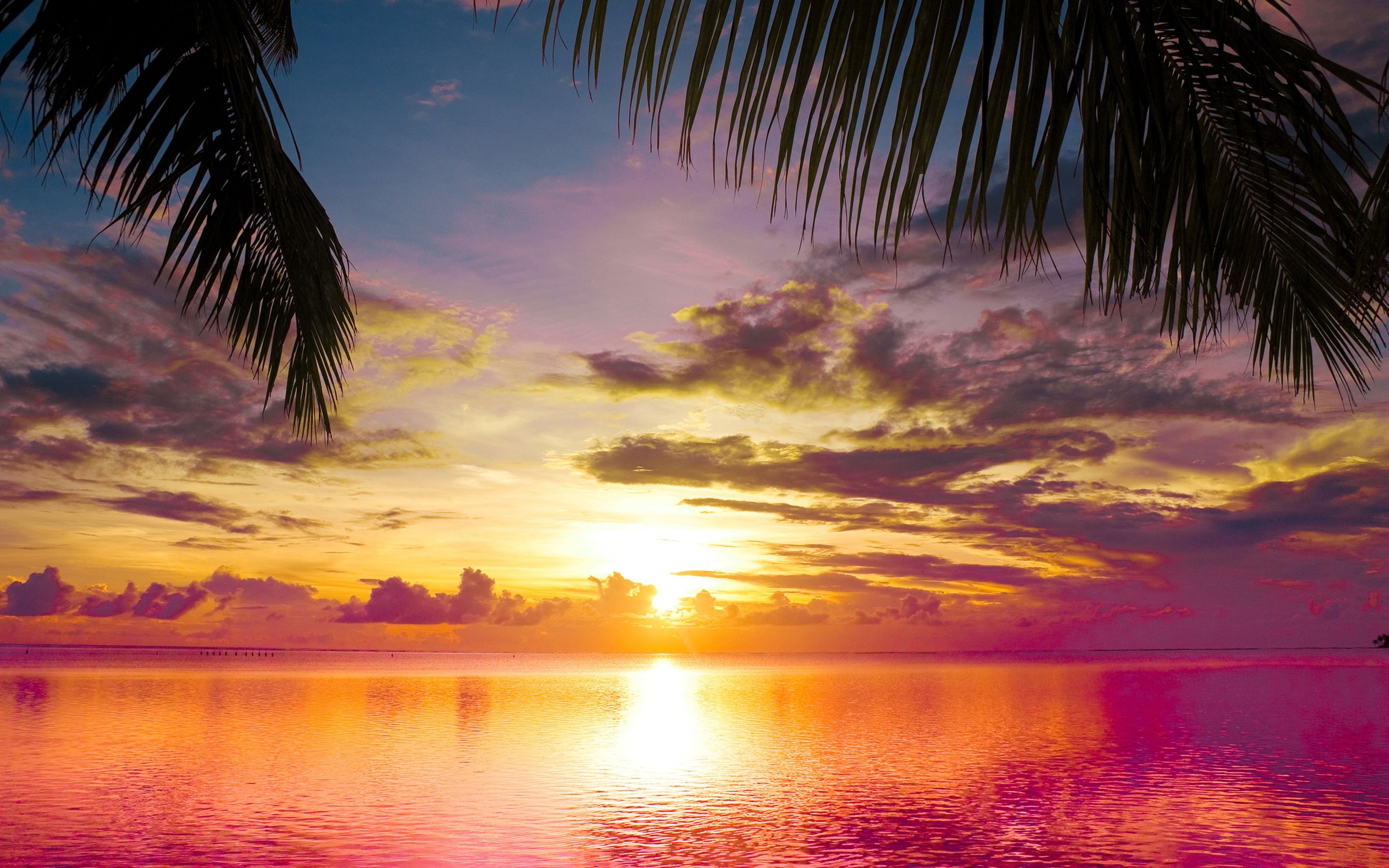 Aruba Island, Captivating sunsets, Beachside tranquility, Serene beauty, 2880x1800 HD Desktop