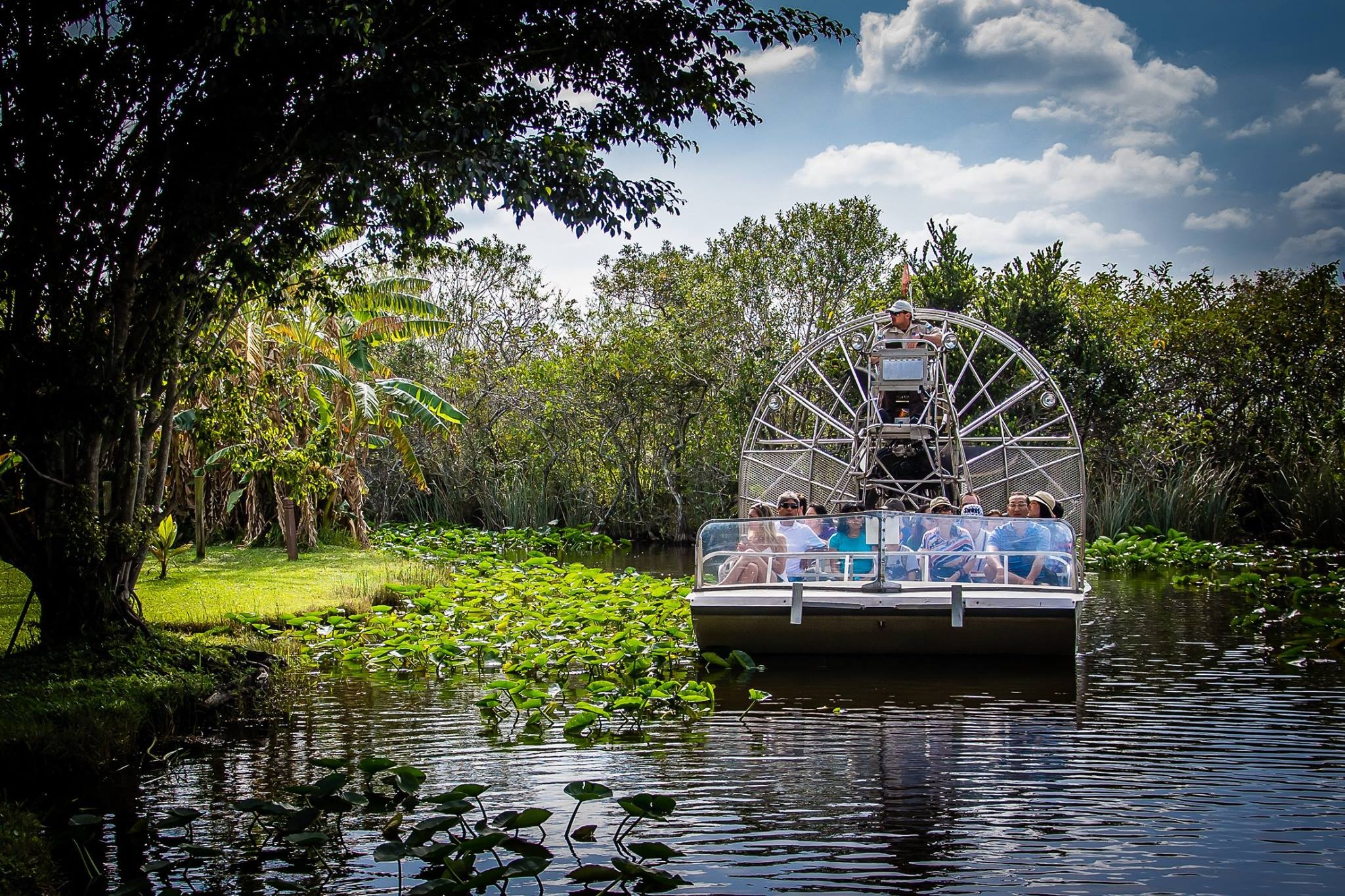 Spannendes Safari-Abenteuer in den Everglades, 2050x1370 HD Desktop