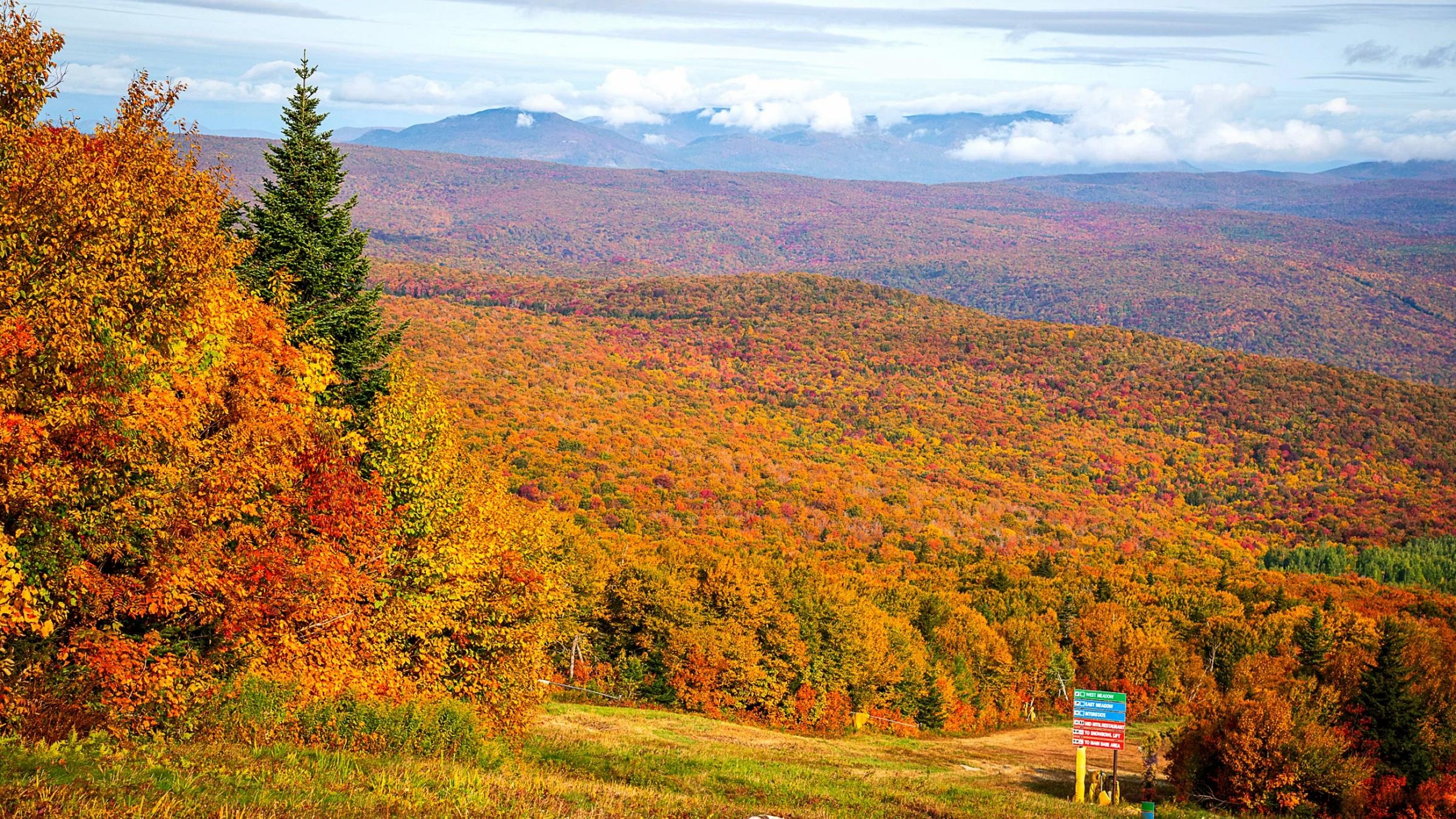 Peak fall tapestry, Stratton Mountain display, Elevated autumn, Plateau palette, Foliage festivity, 2400x1350 HD Desktop