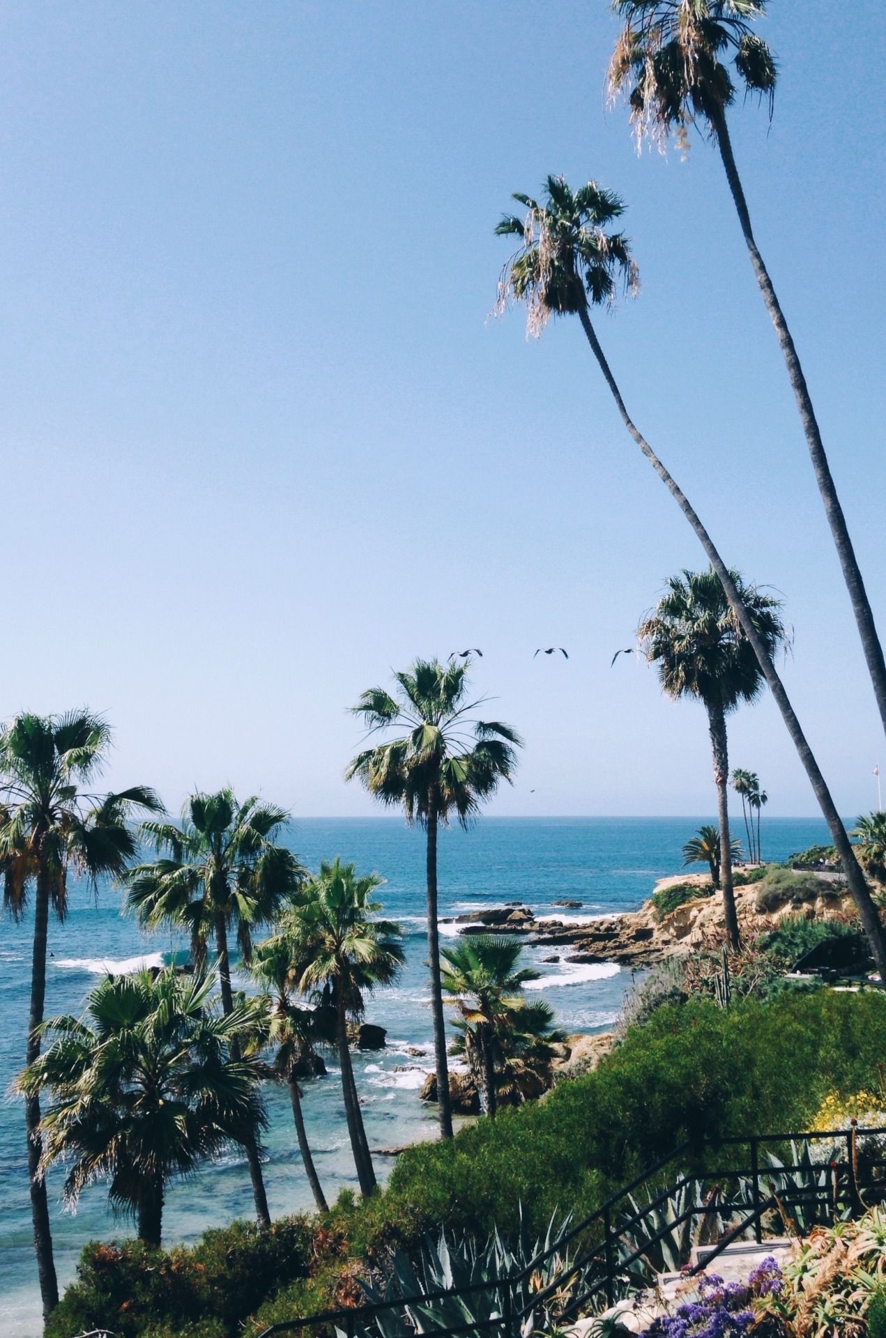 Visit us in California, Enjoy the Cali life, Palm trees wallpaper, Beach lover's paradise, 1280x1920 HD Phone