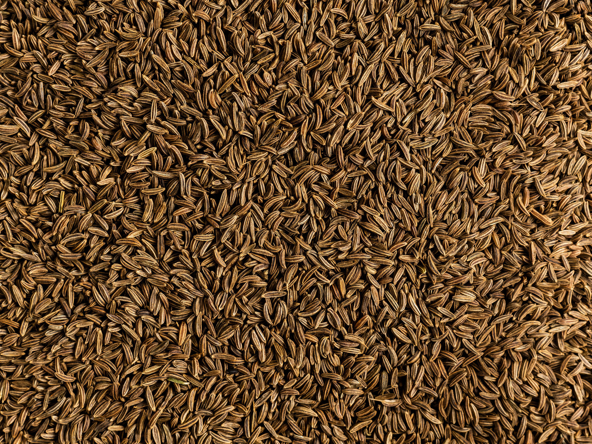 Caraway seed, Red Goose Spice, Quality seasoning, Rich aroma, 2050x1540 HD Desktop