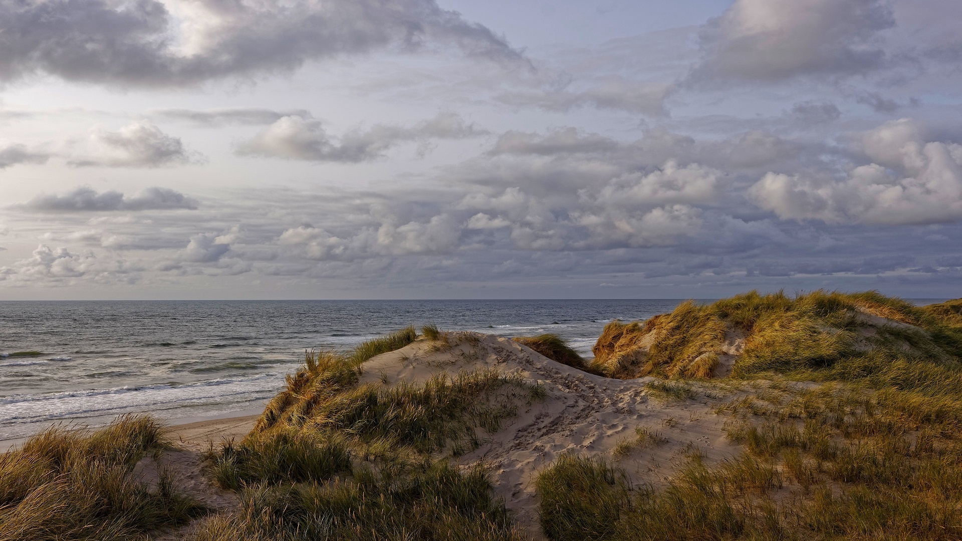 Coastal evening scenery, North Sea landscapes, 1920x1080 Full HD Desktop