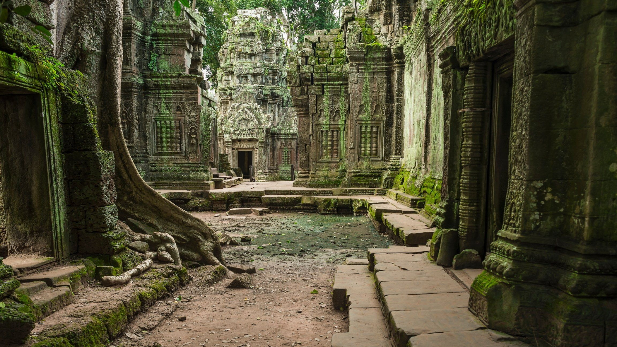 Angkor, Siem Reap, Cambodia, Temple complex, 2560x1440 HD Desktop