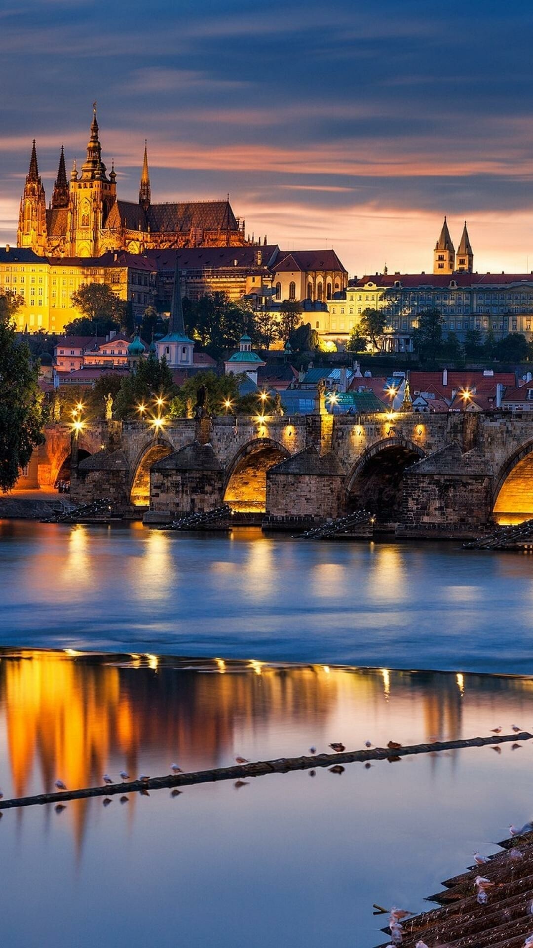 Prague Castle, HD wallpapers, PC and mobile, Free download, 1080x1920 Full HD Phone