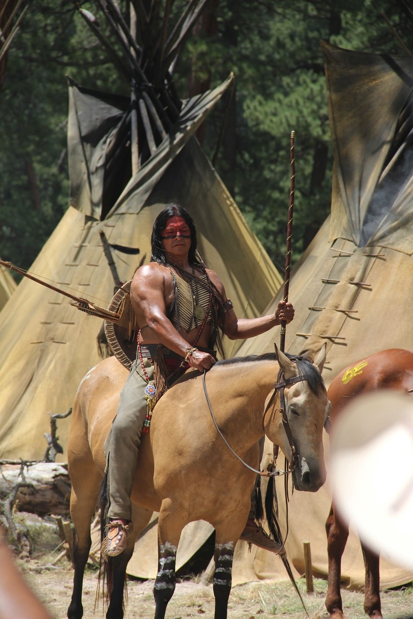 Gil Birmingham, Remarkable movie scenes, Native American horses, Warrior's spirit, 1340x2000 HD Handy