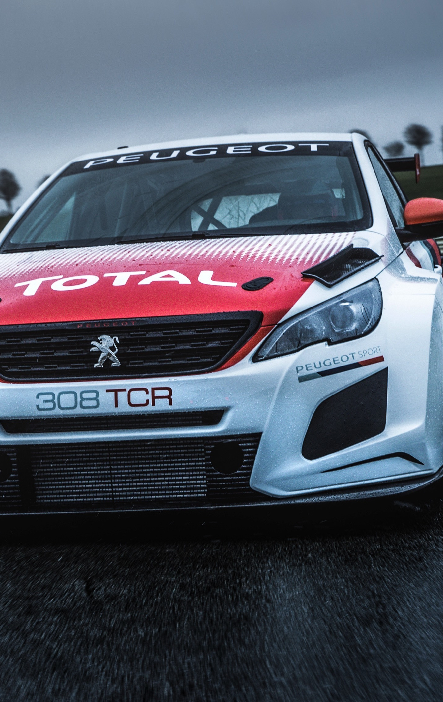 Peugeot 308 TCR, Front on road, Samsung Galaxy S8, HD image, 1440x2280 HD Handy